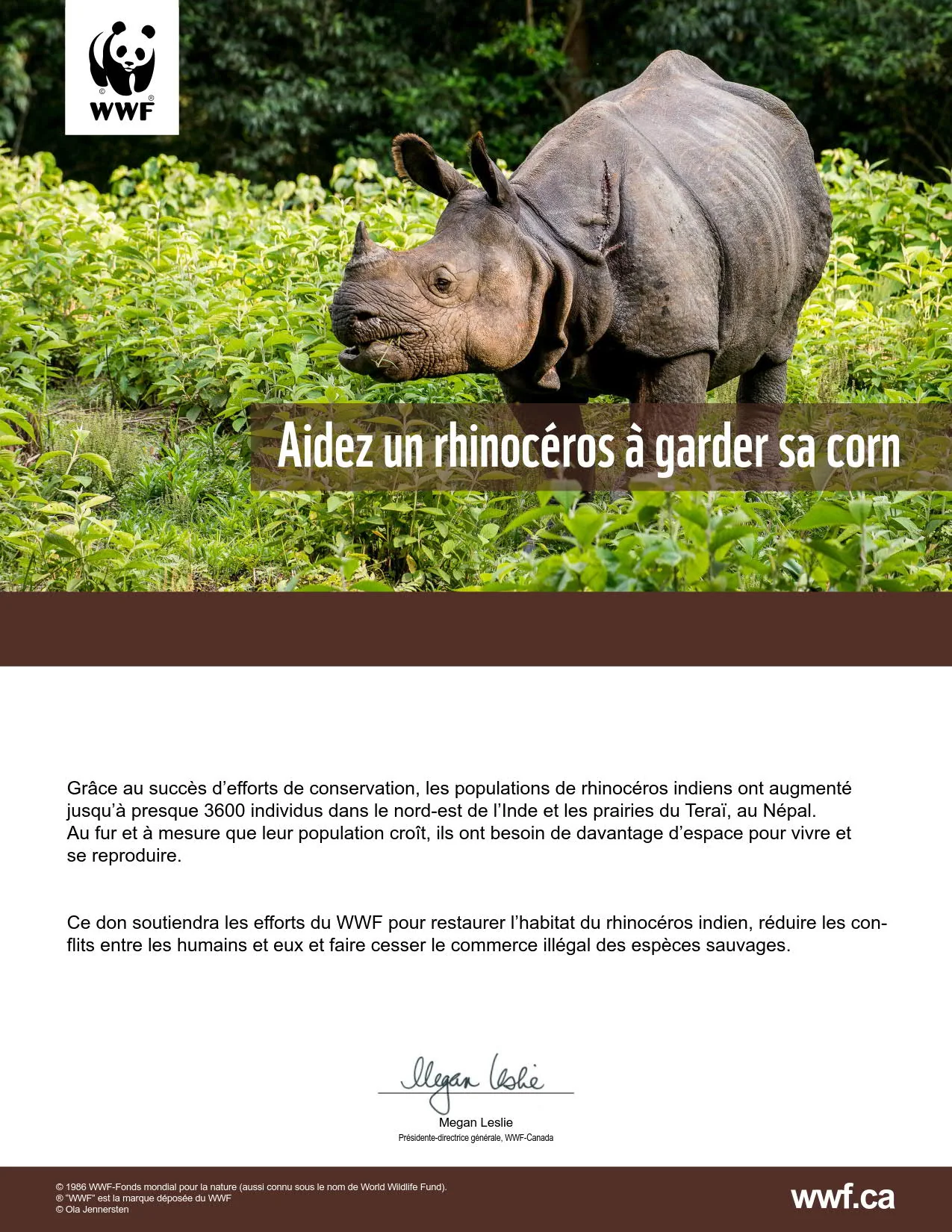 aidons le rhinocéros à sauver sa corne - Image 2
