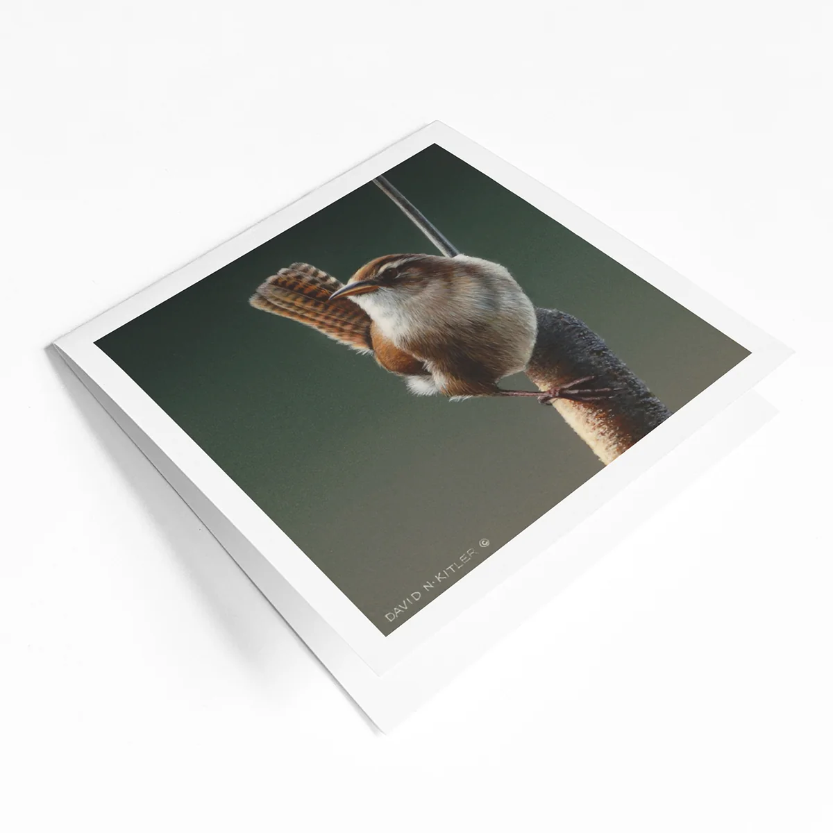 Artist series greeting card bundle (4 pack) - Image 4
