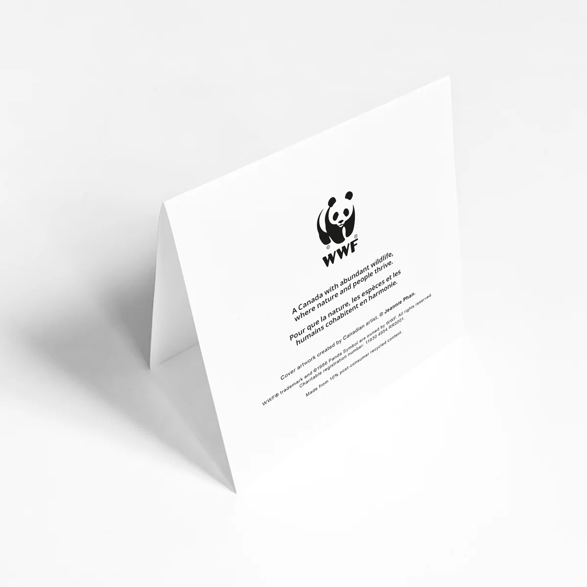Artist series greeting card bundle (4 pack) - Image 7