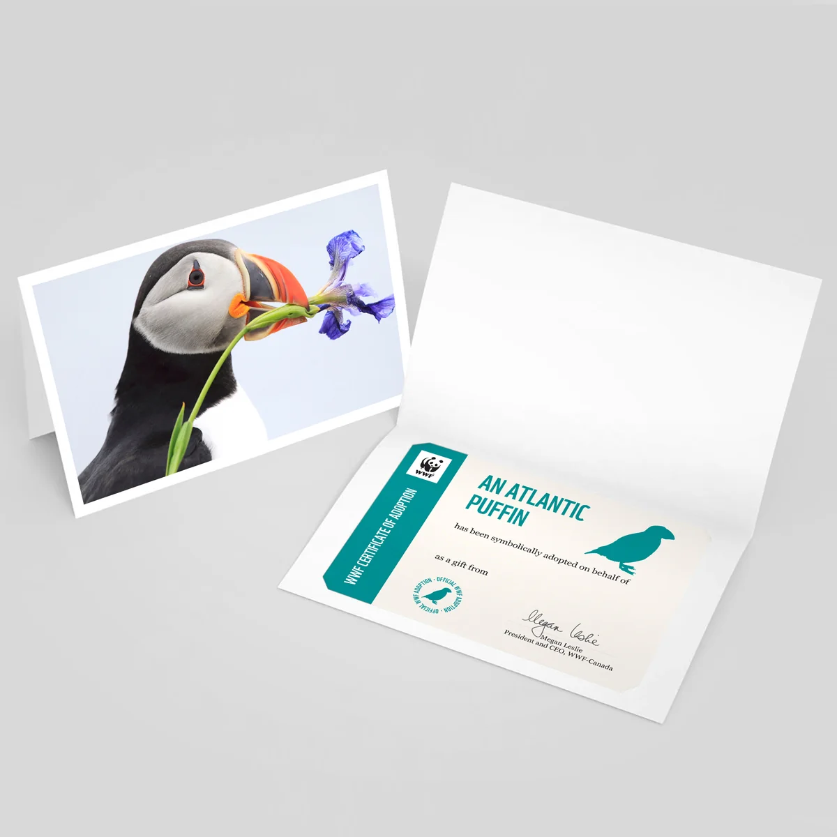 Atlantic puffin adoption card