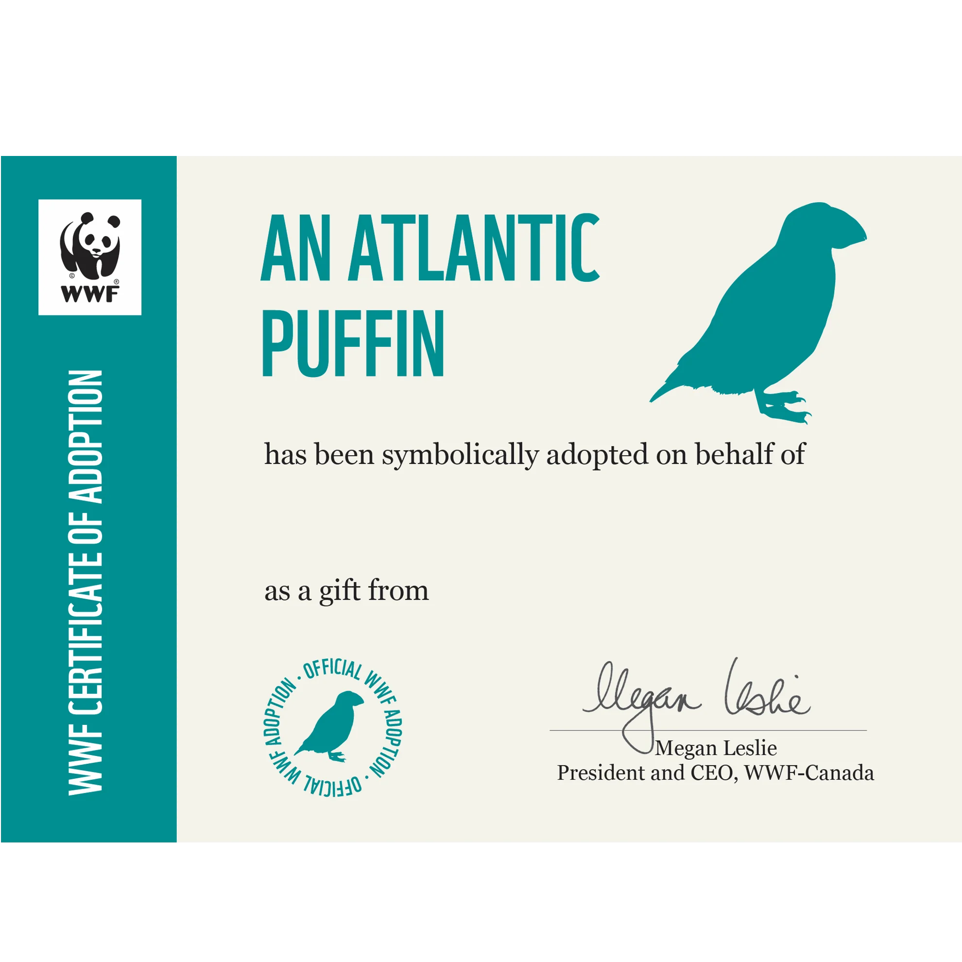 Atlantic puffin - Image 3