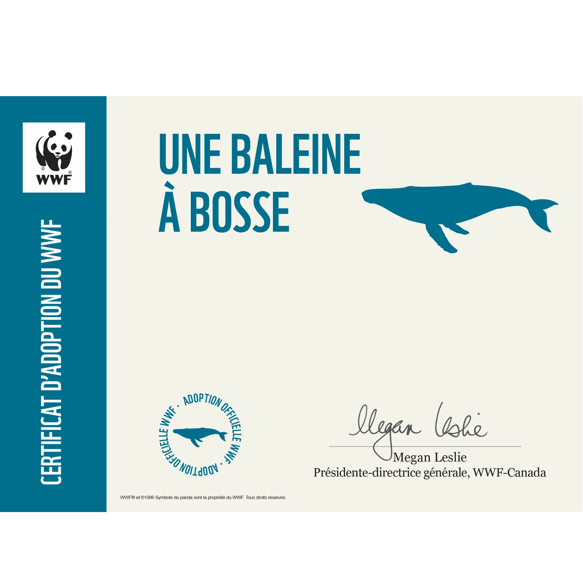 Baleine à bosse - Image 3