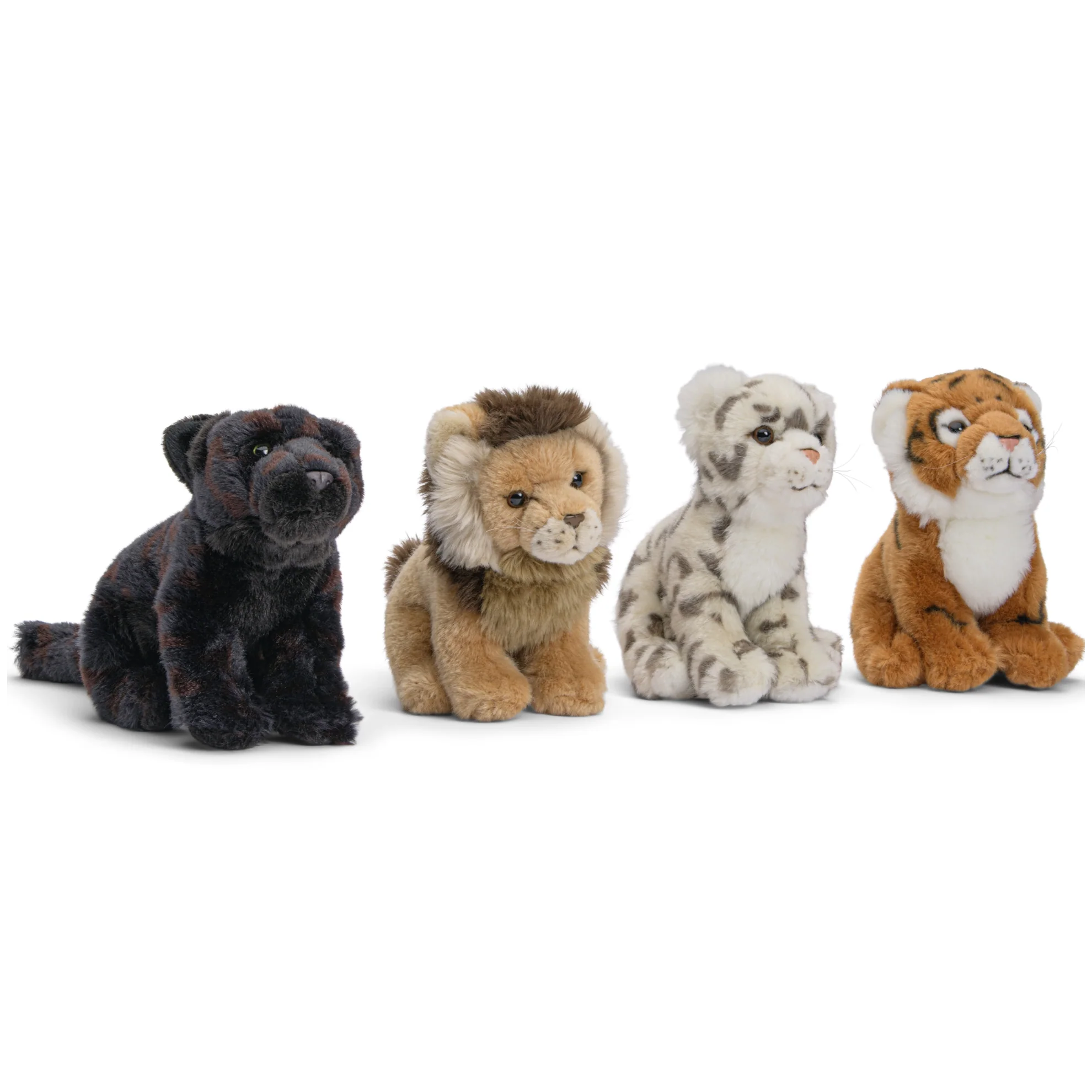 Big cats bundle