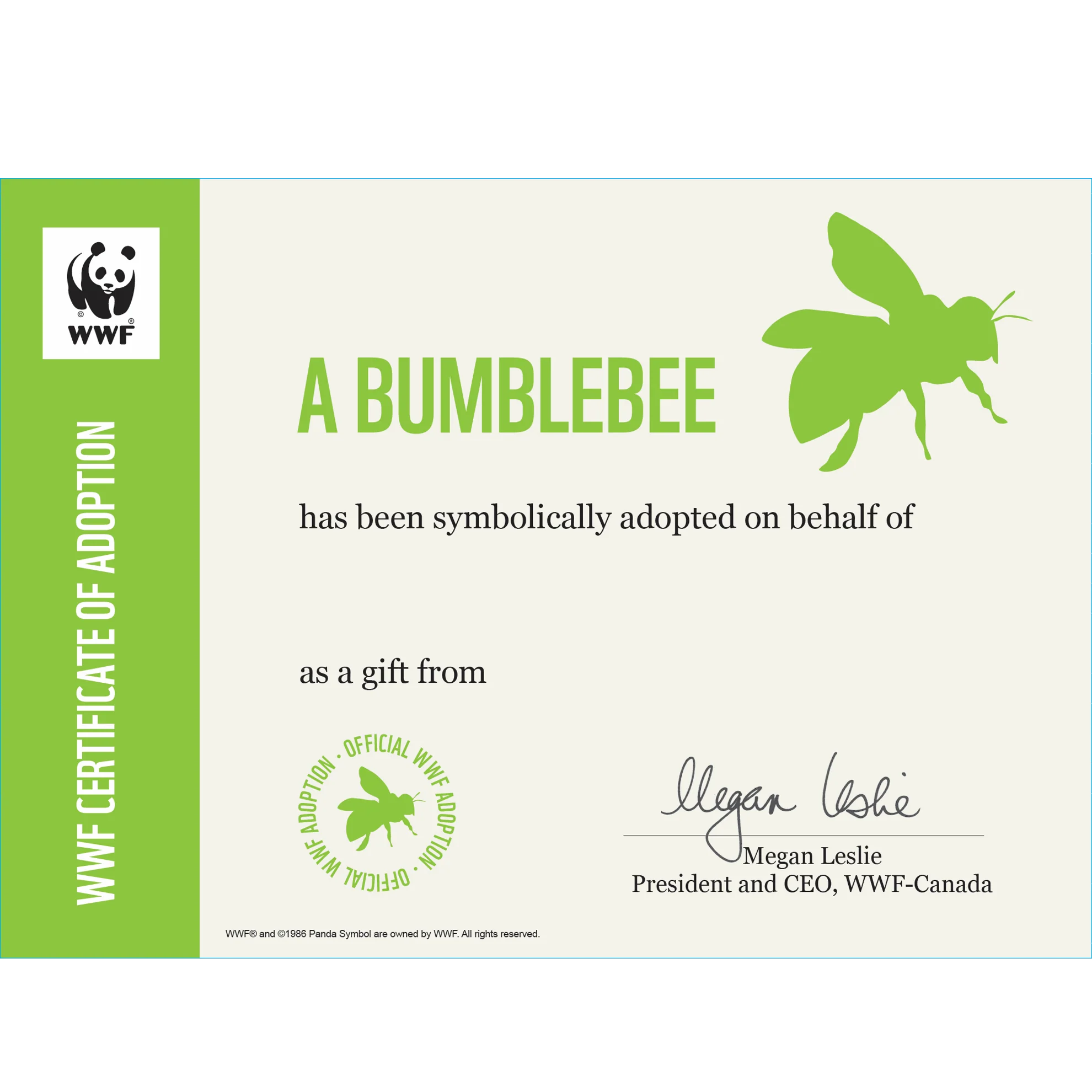 Bumblebee adoption card - Image 3