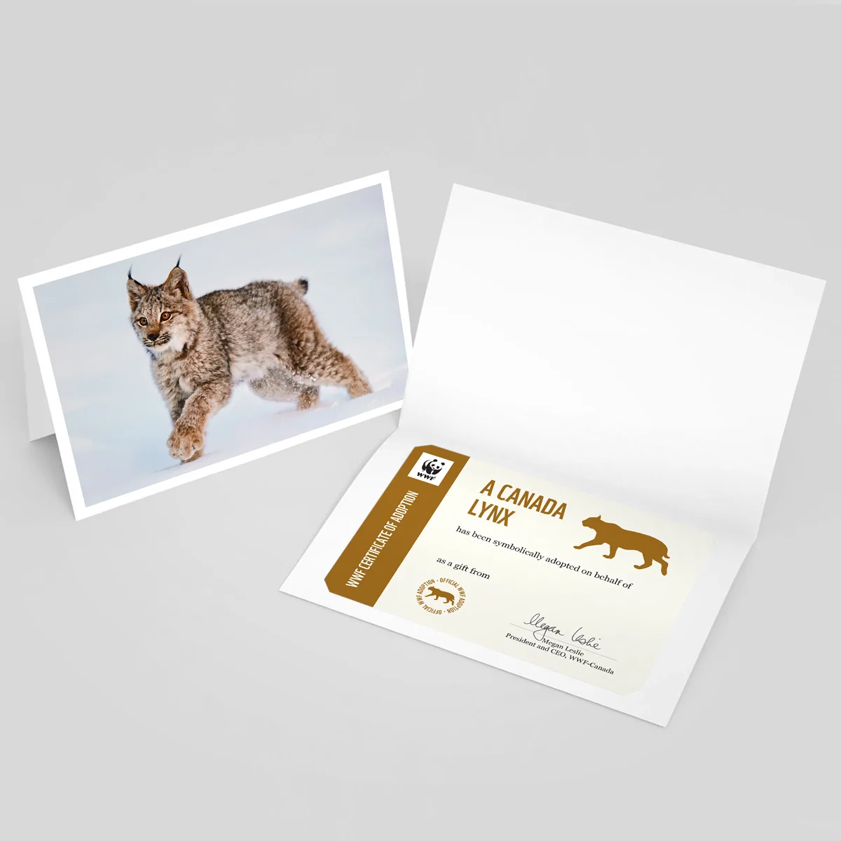 Canada lynx adoption card