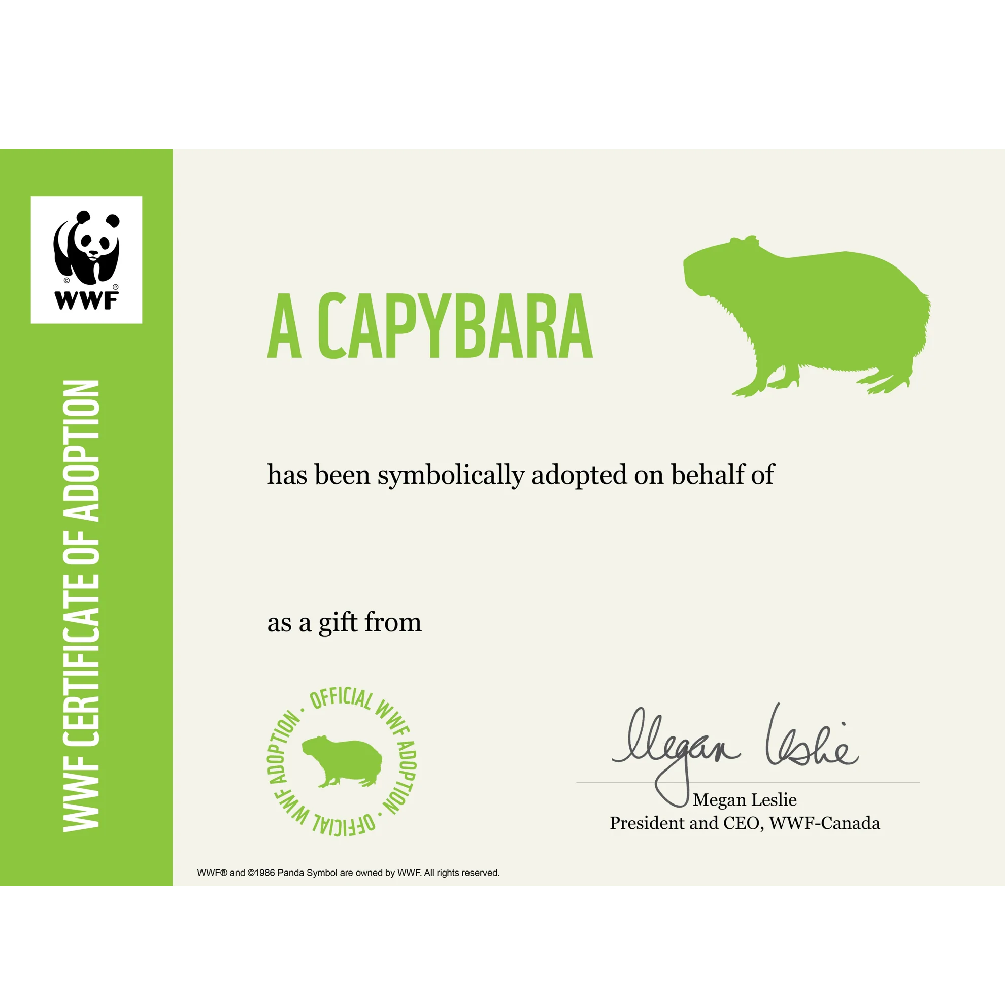 Capybara - Image 3