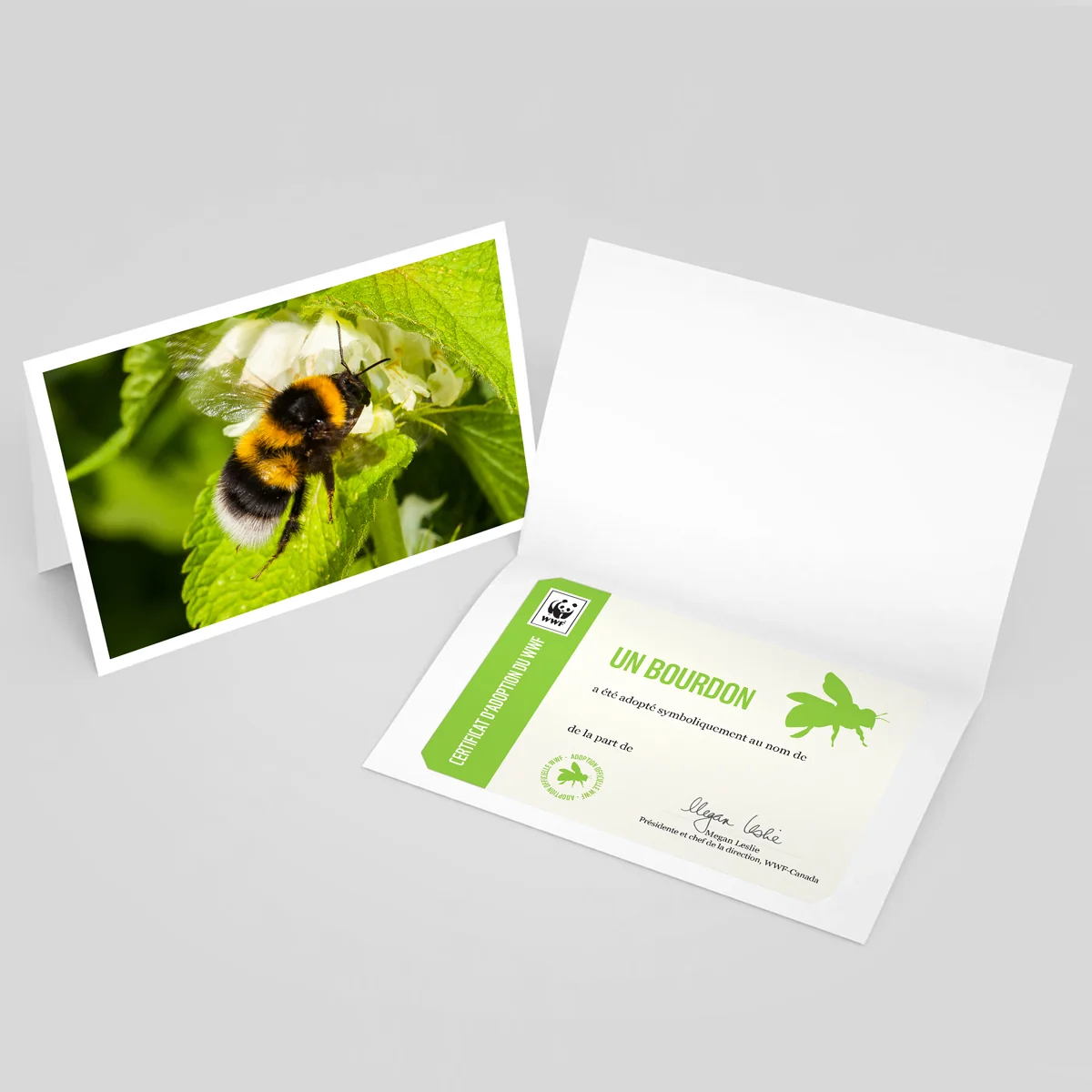 Carte bourdon