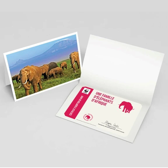 Carte éléphant d’Afrique