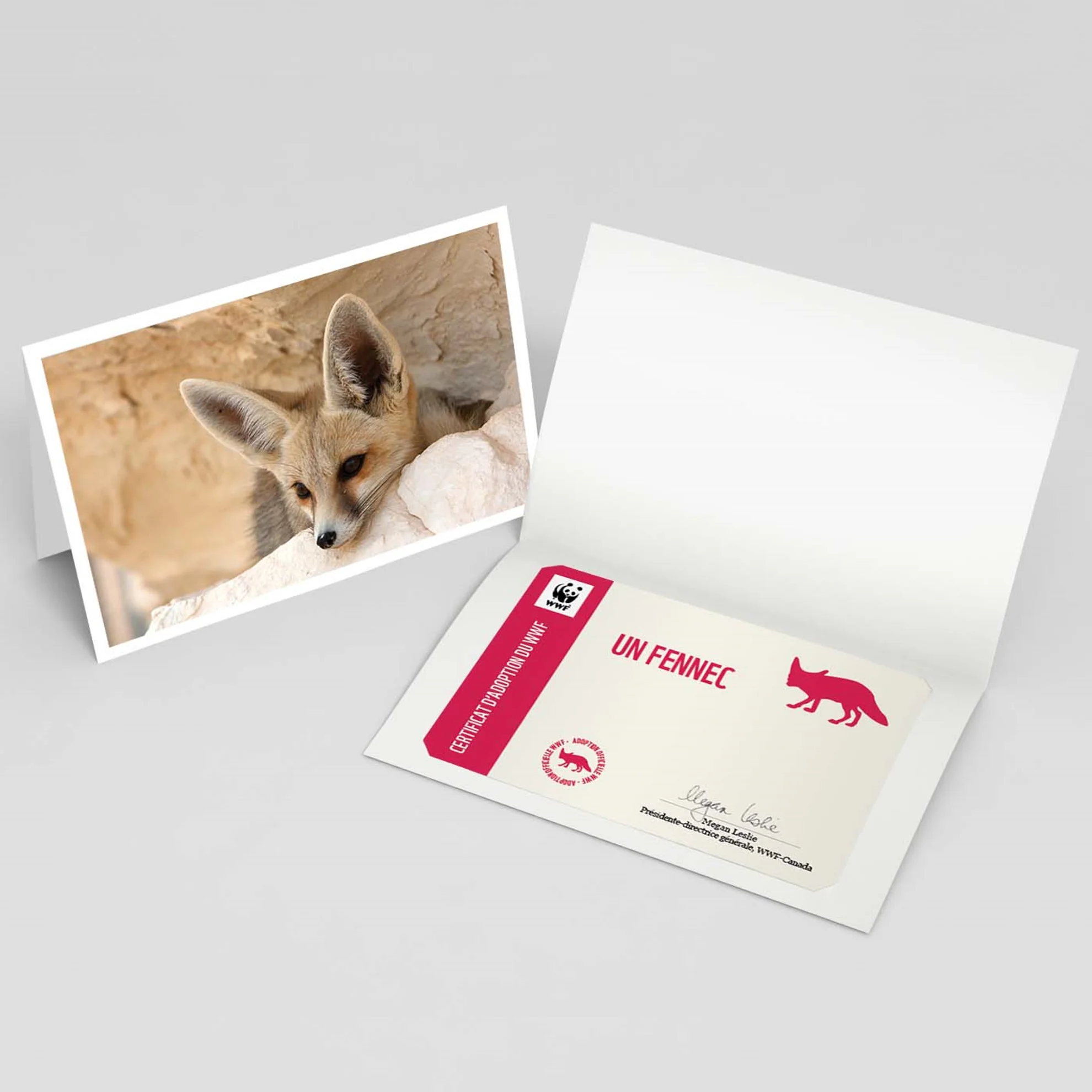 Carte fennec