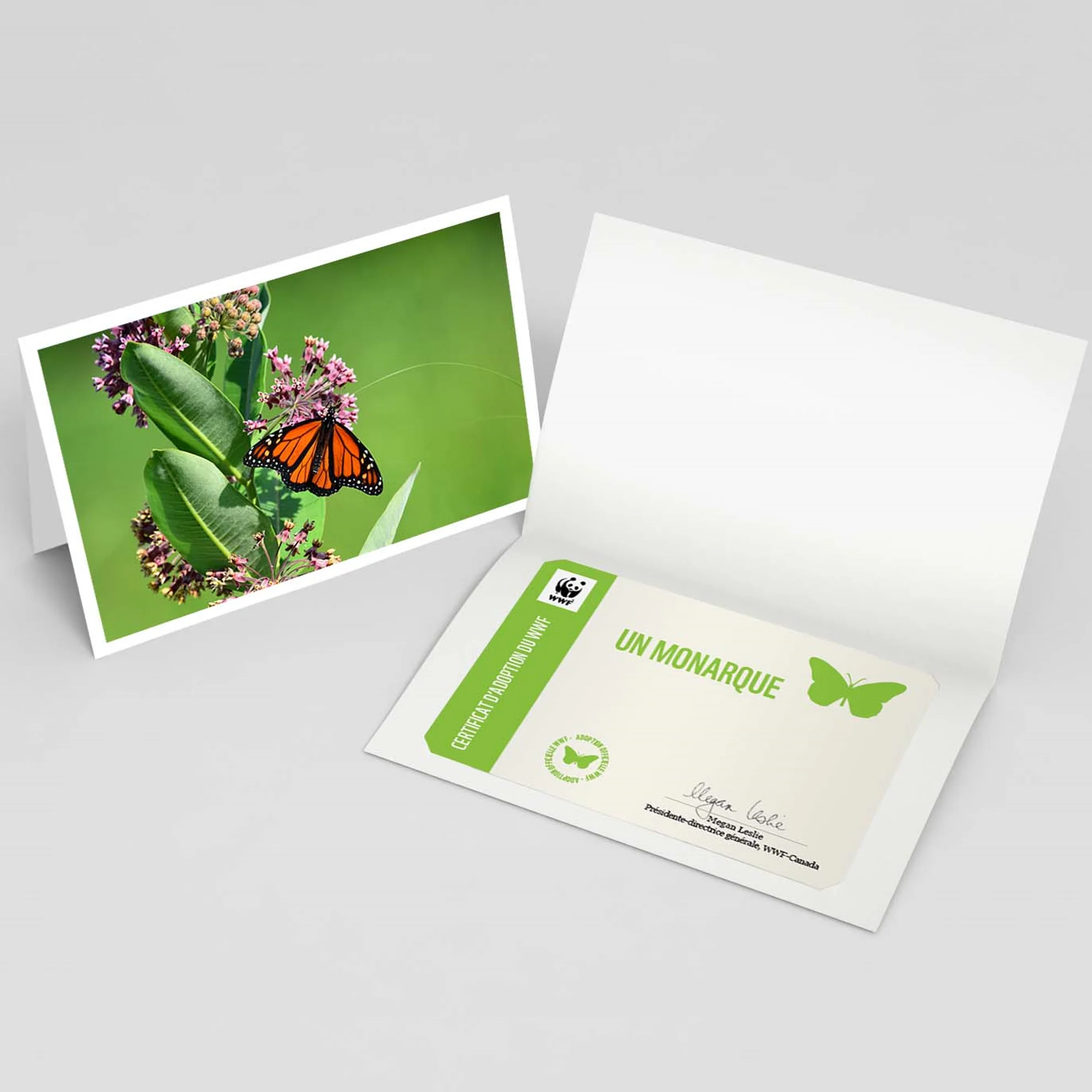 Carte monarque