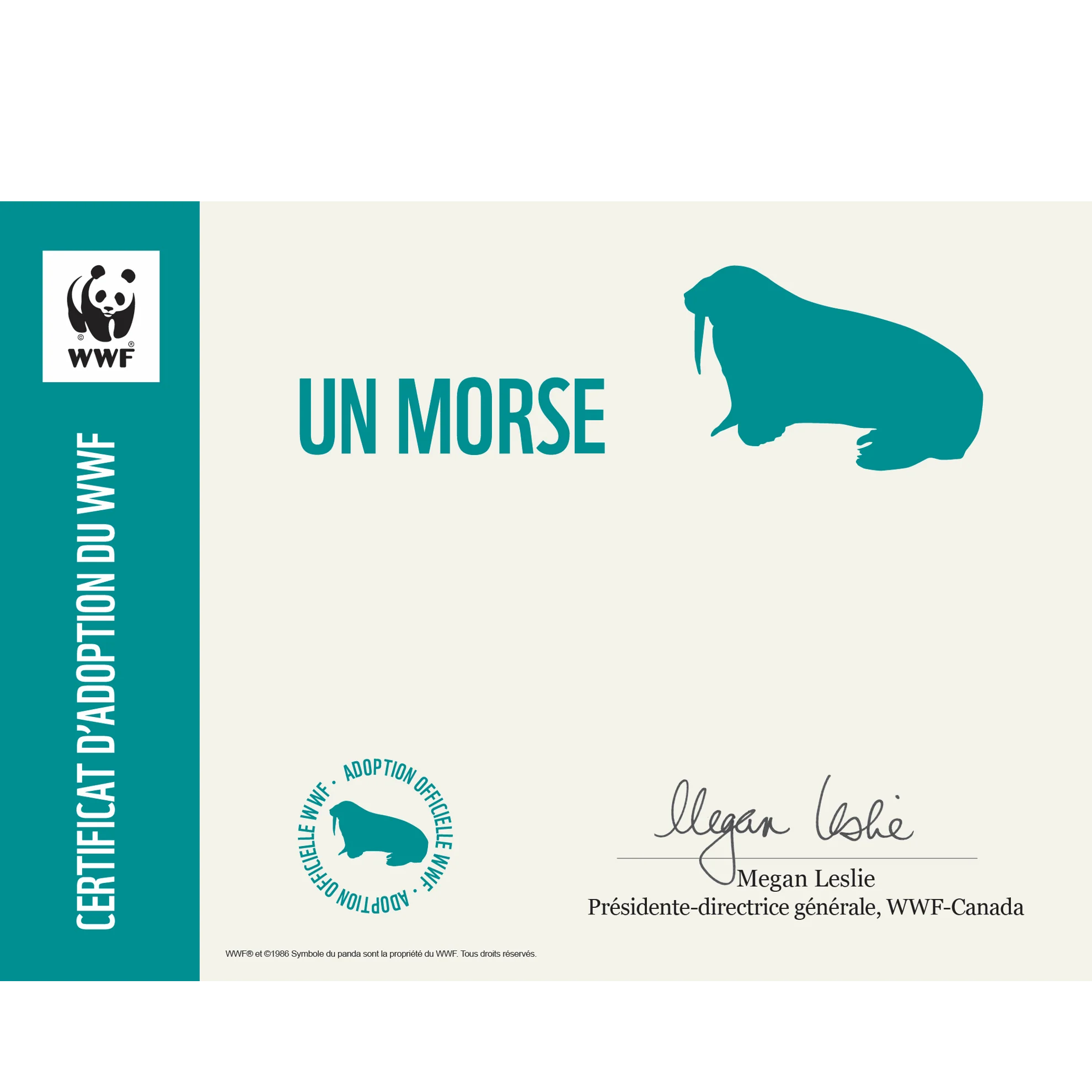 Carte morse - Image 3