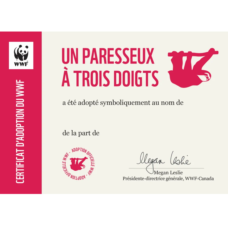 Carte paresseux - Image 3