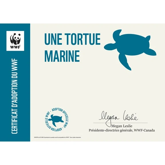 Carte tortue marine - Image 3