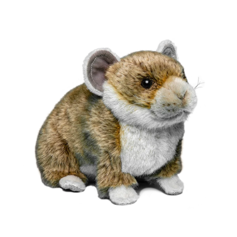 Collared pika - Image 2