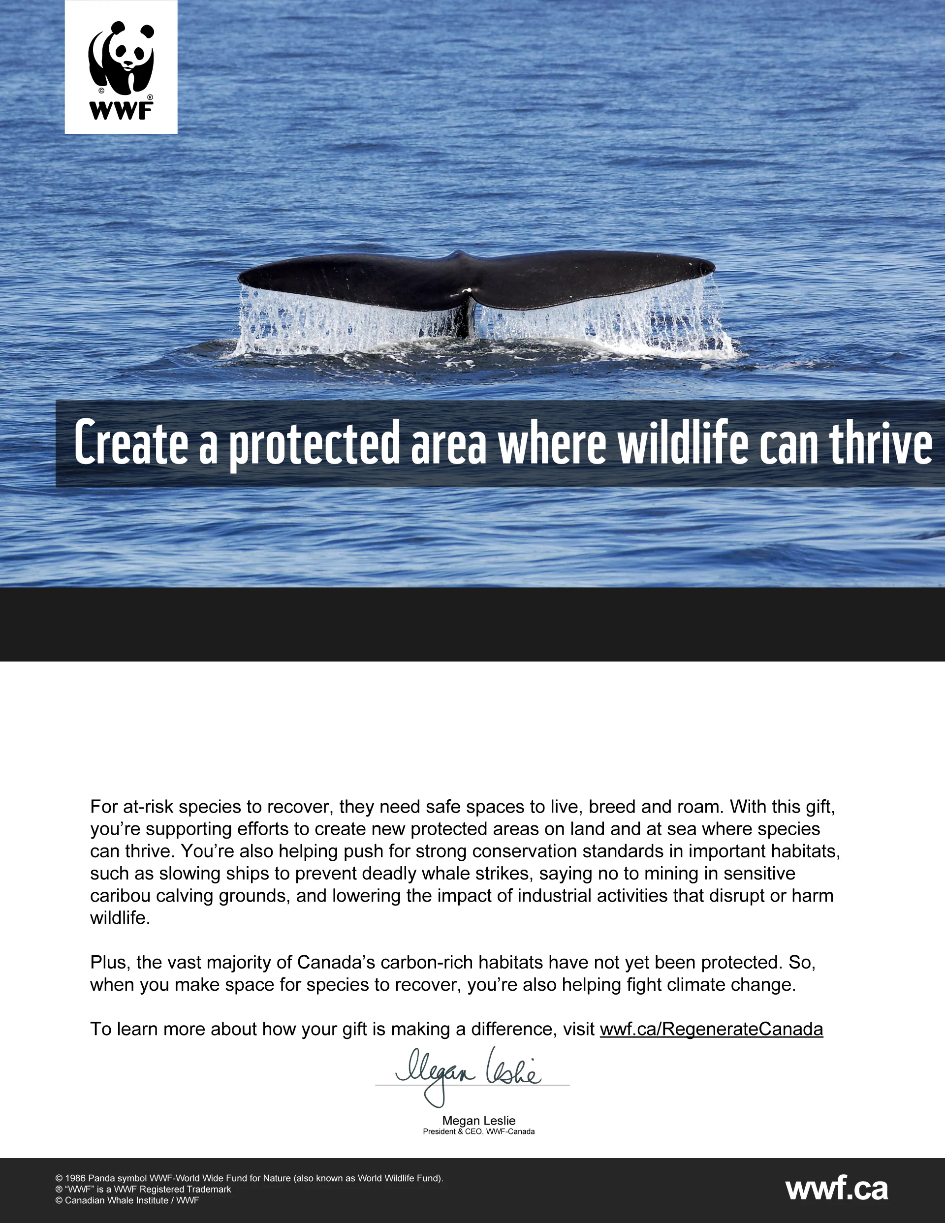 create a protected area where wildlife can thrive - Image 2