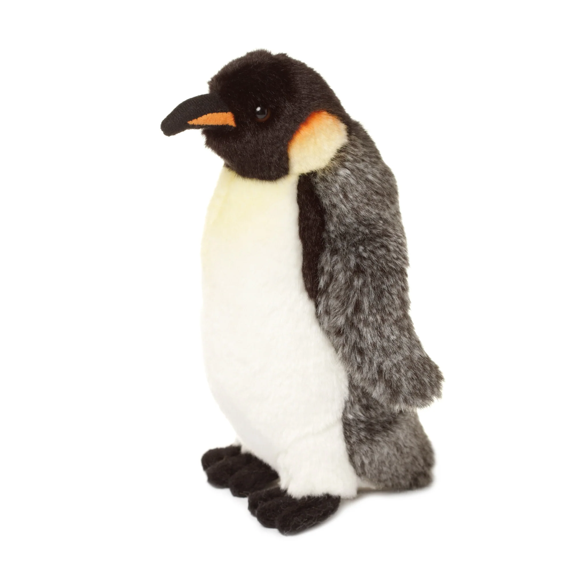 Emperor penguin - Image 2