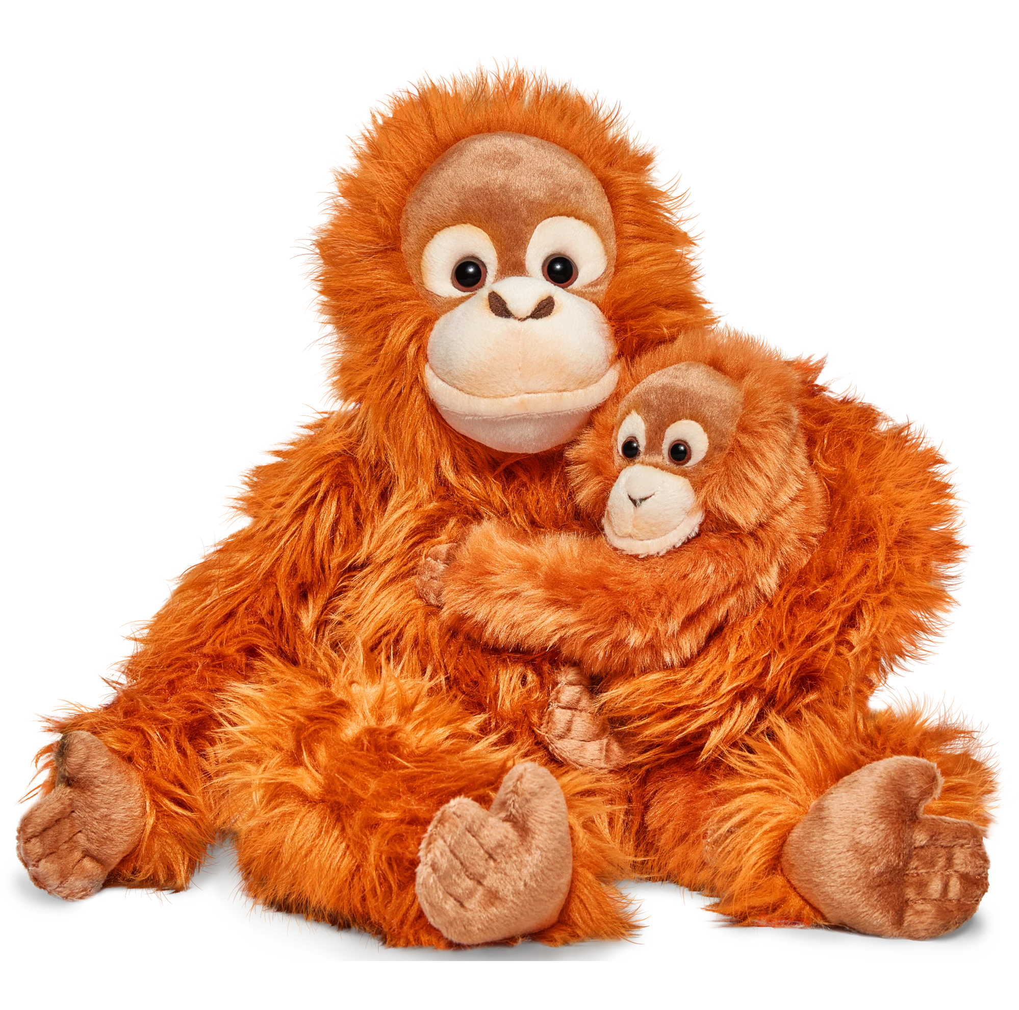Famille d’orangs-outans - Image 2