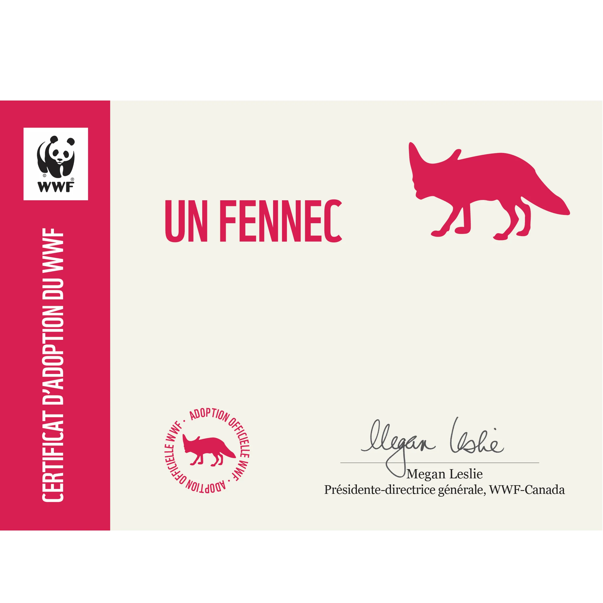 Fennec - Image 4