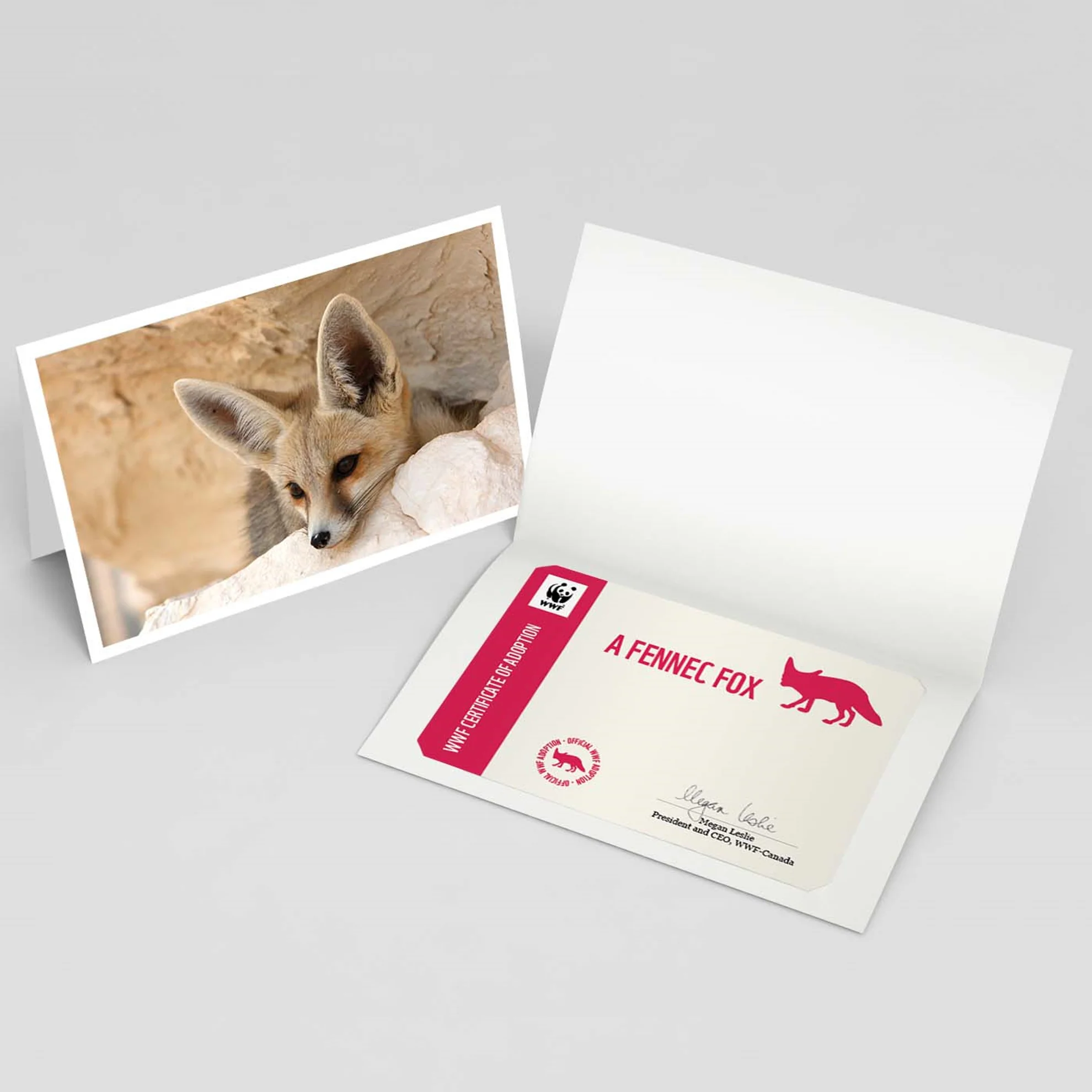 Fennec fox adoption card