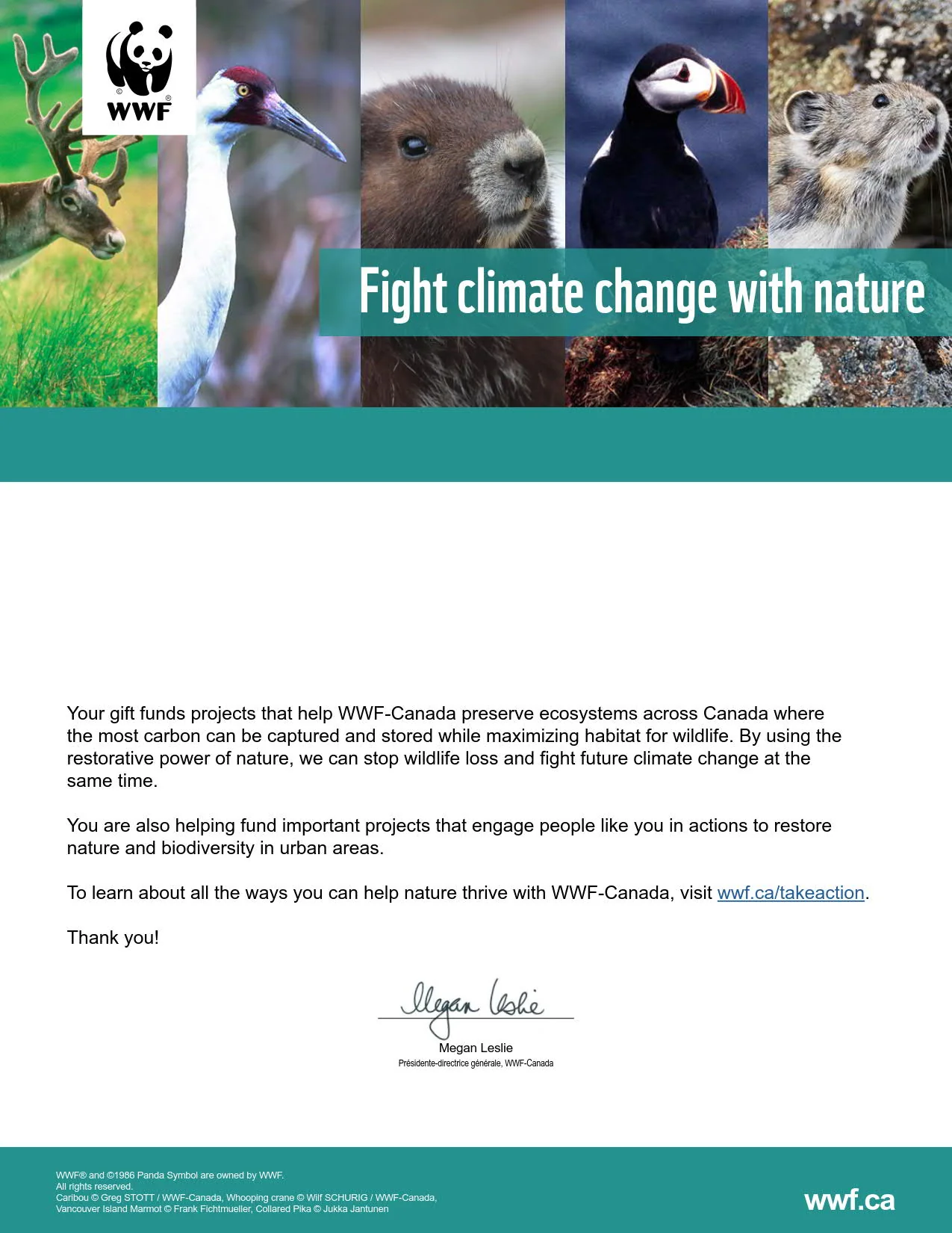 fight climate change with nature - Image 2