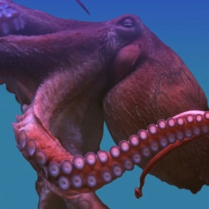Giant Pacific octopus digital adoption