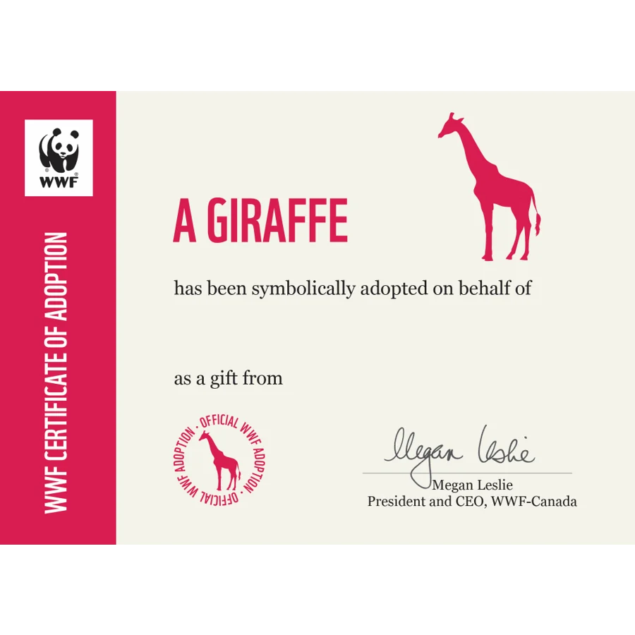 Giraffe digital adoption - Image 2