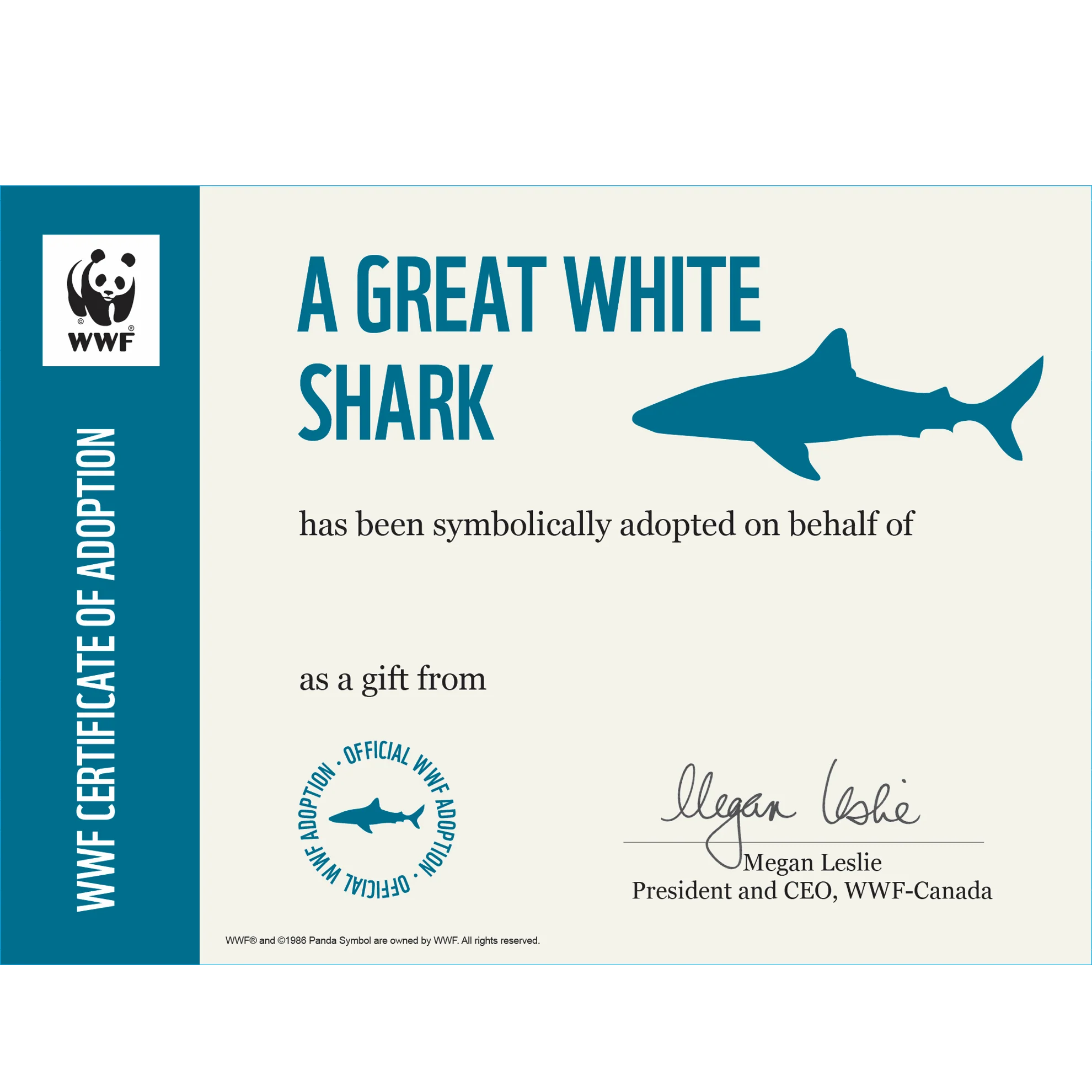 Great white shark - Image 3