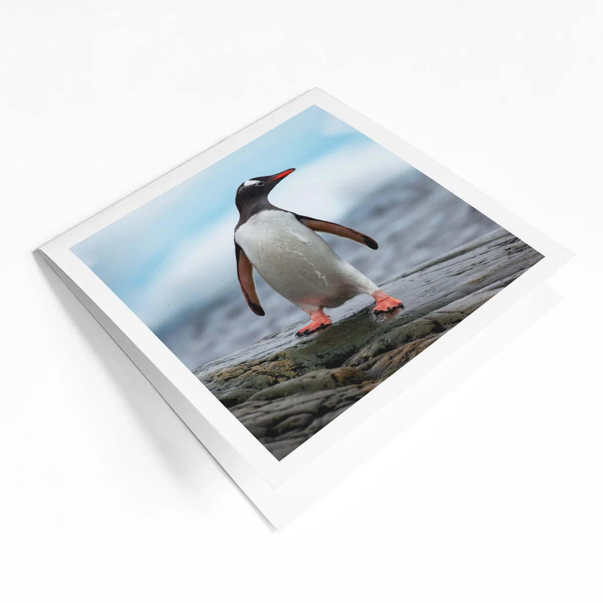 Greeting card bundle (12 pack) - Image 10