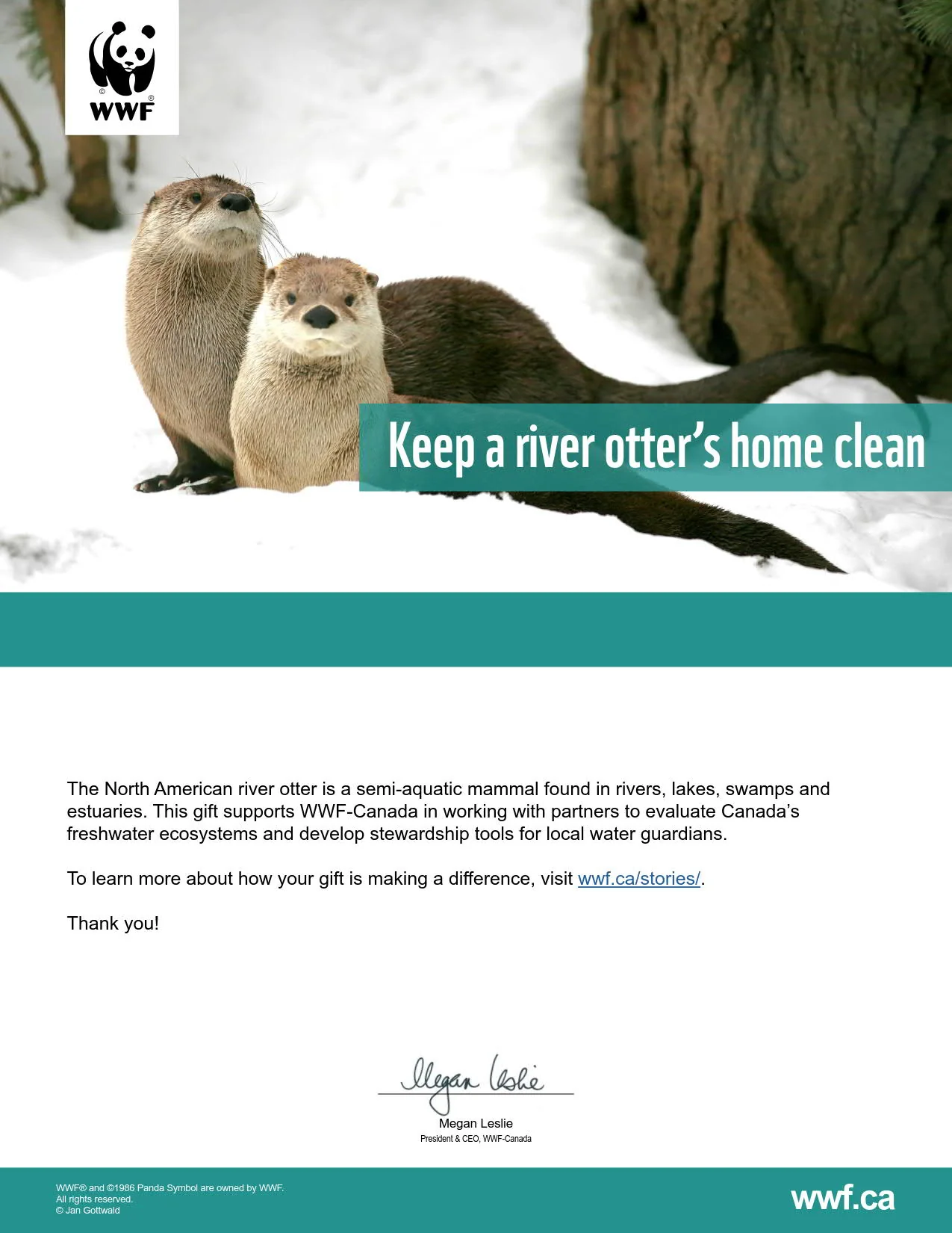 keep a river otter's home clean - Image 2