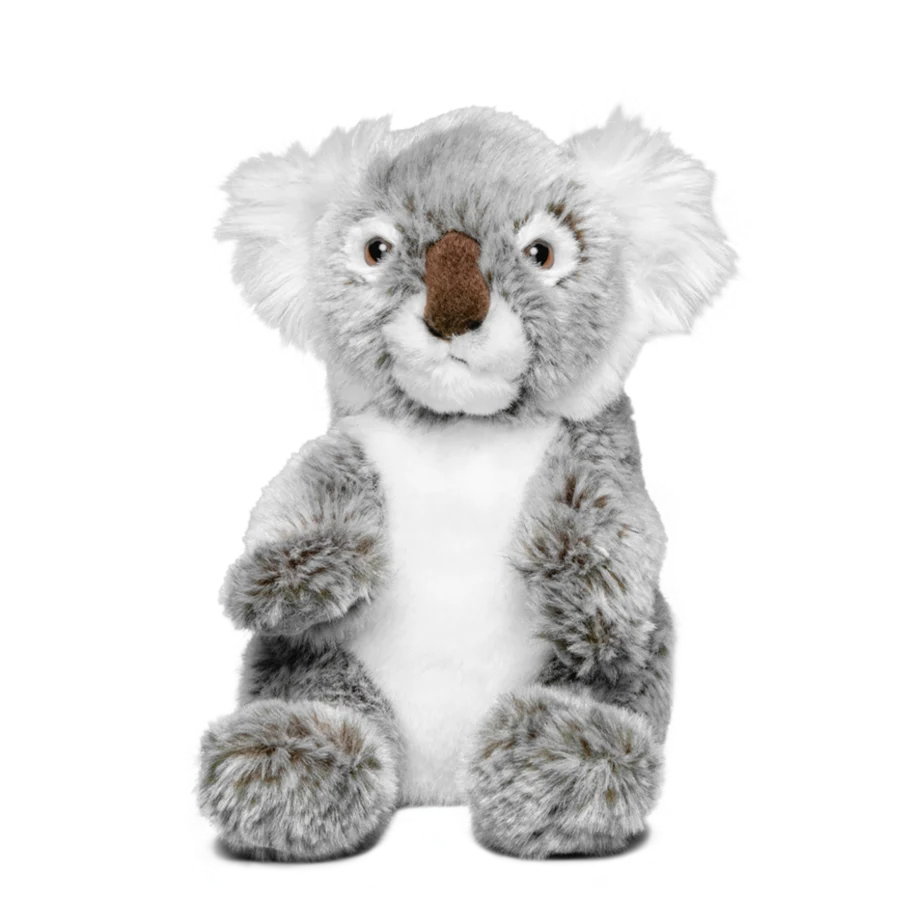 Koala - Image 2