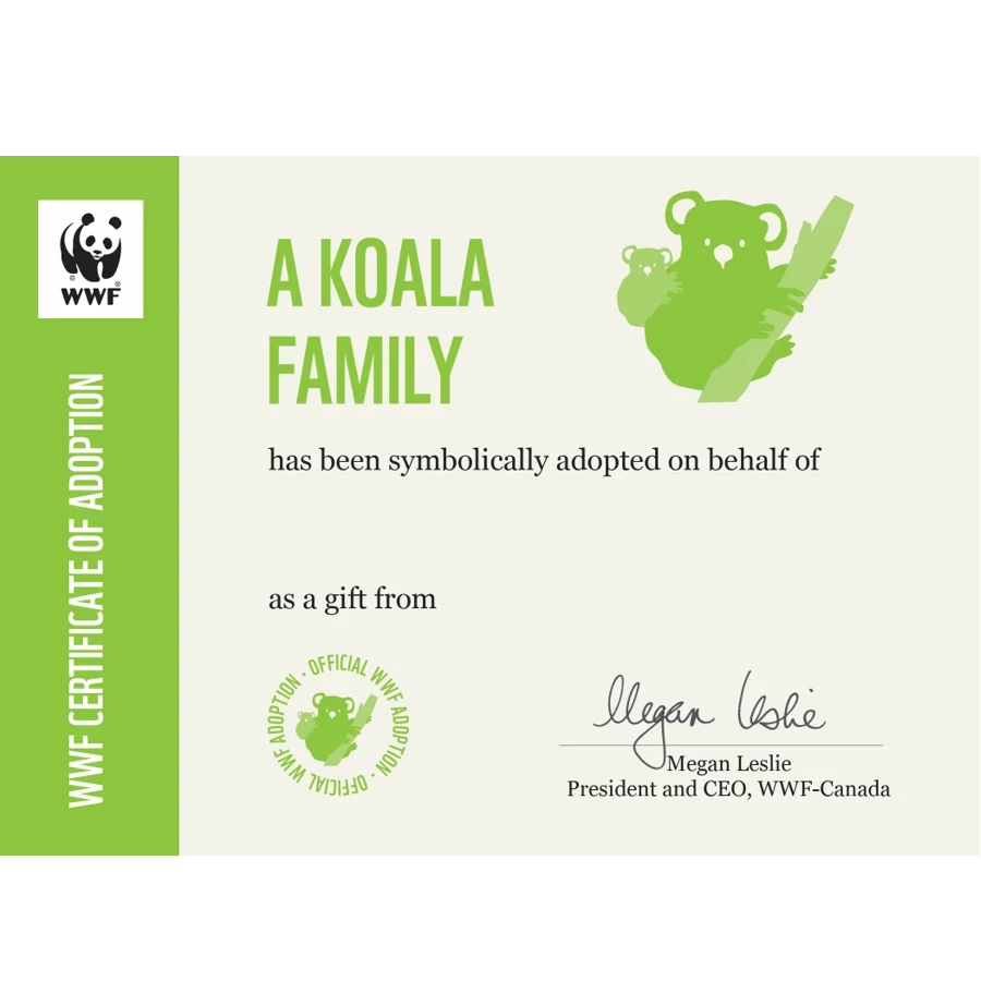 Koala family - Image 3