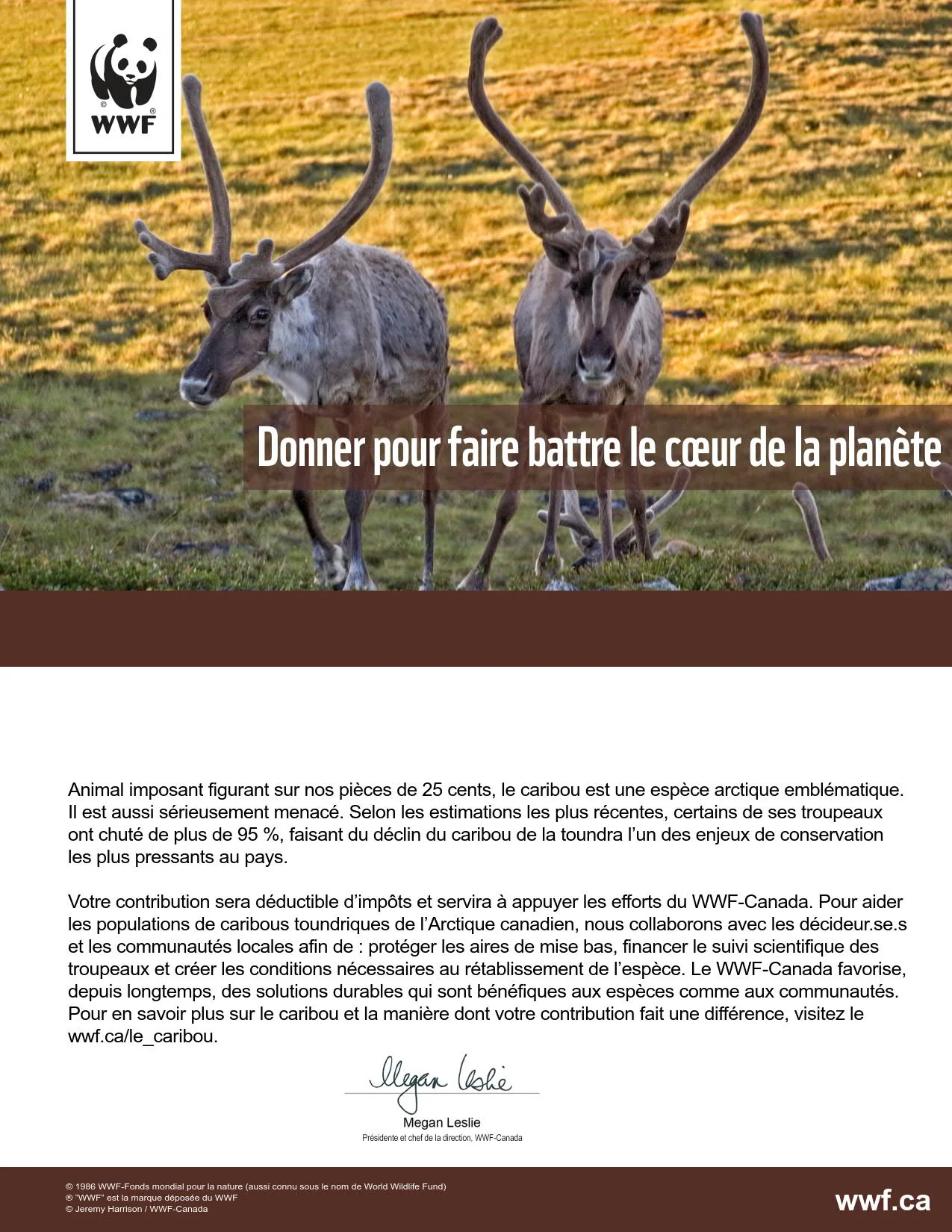 redonnons espoir au caribou de l’Arctique - Image 2