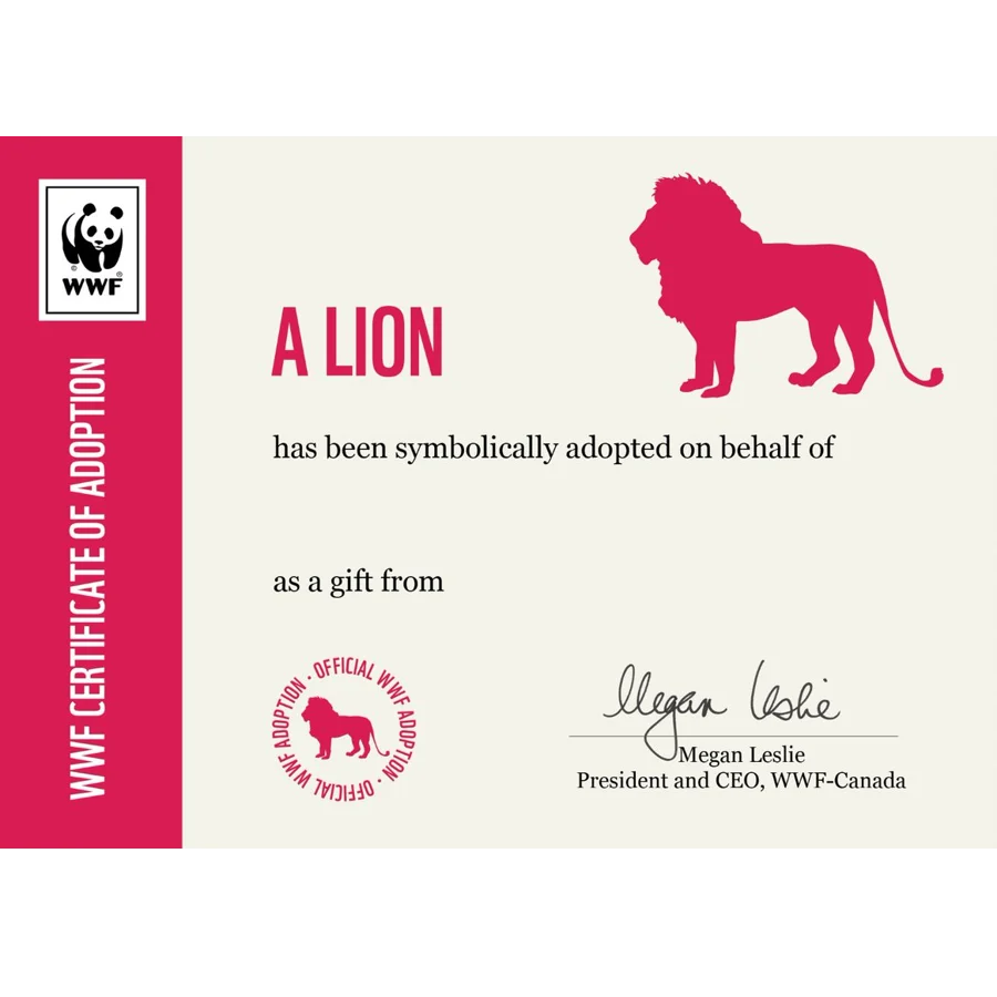 Lion adoption card - Image 3