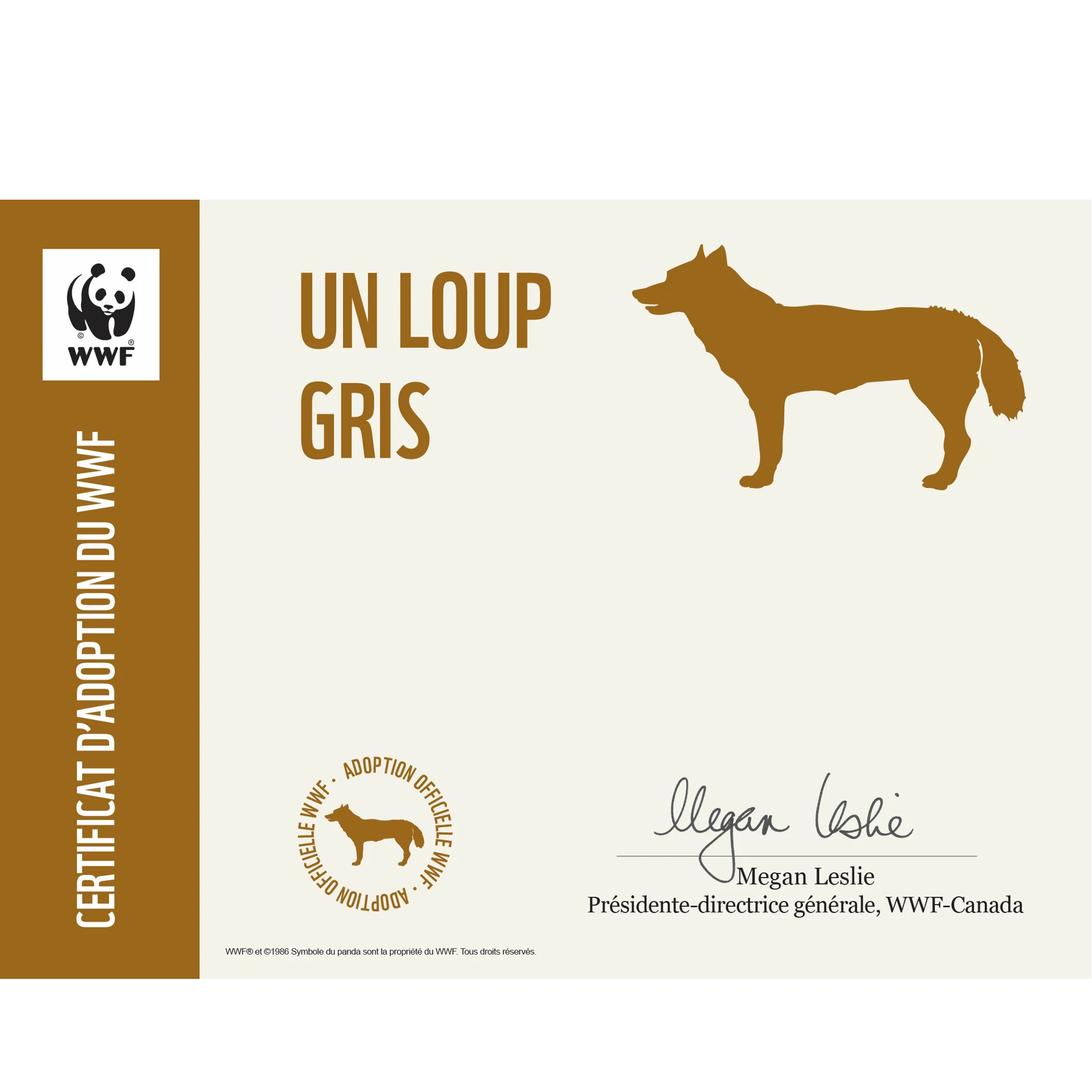 Loup gris - Image 3