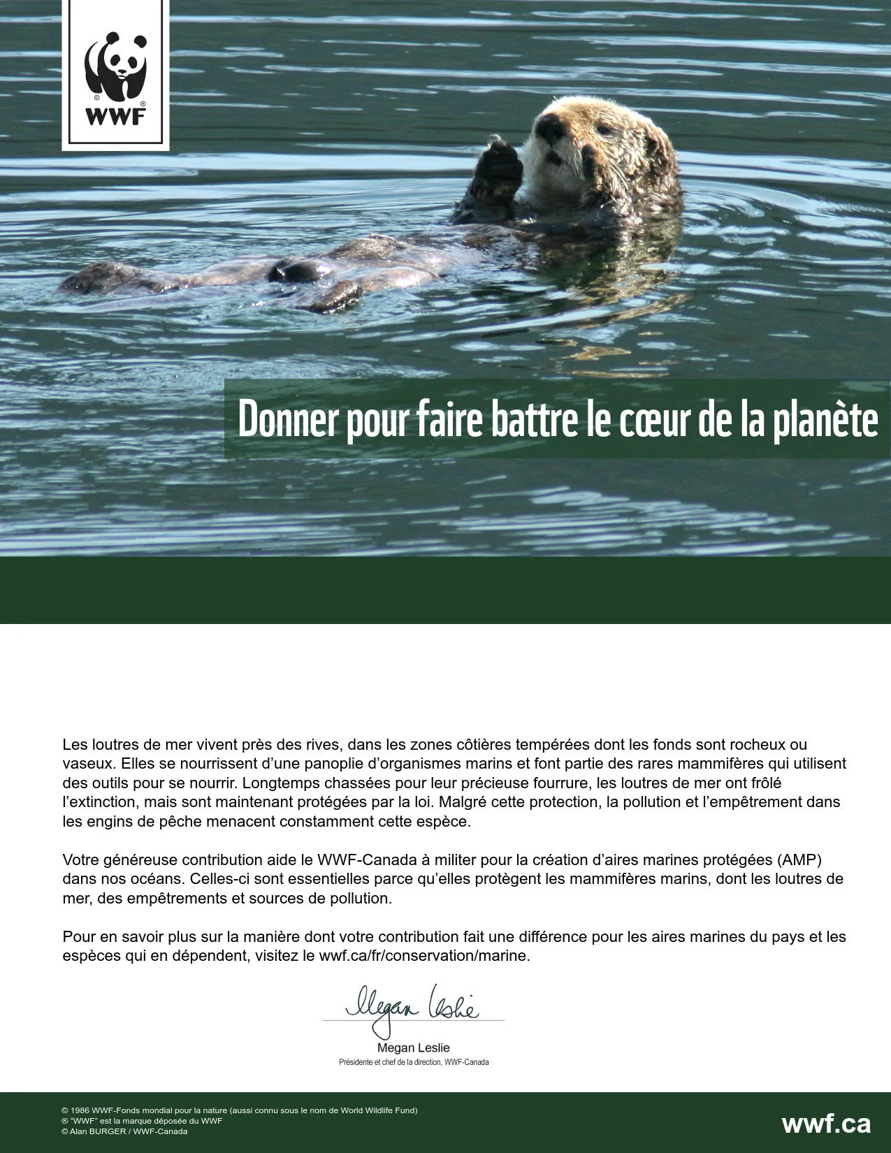 protégeons l’habitat de la loutre de mer - Image 2