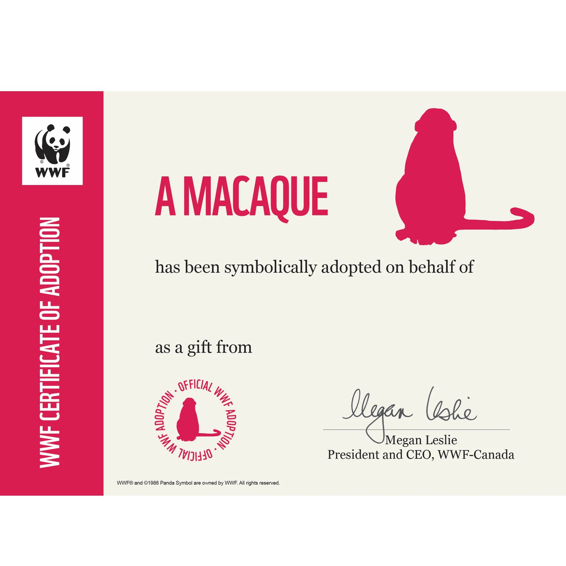 Mago Monkey - Image 4
