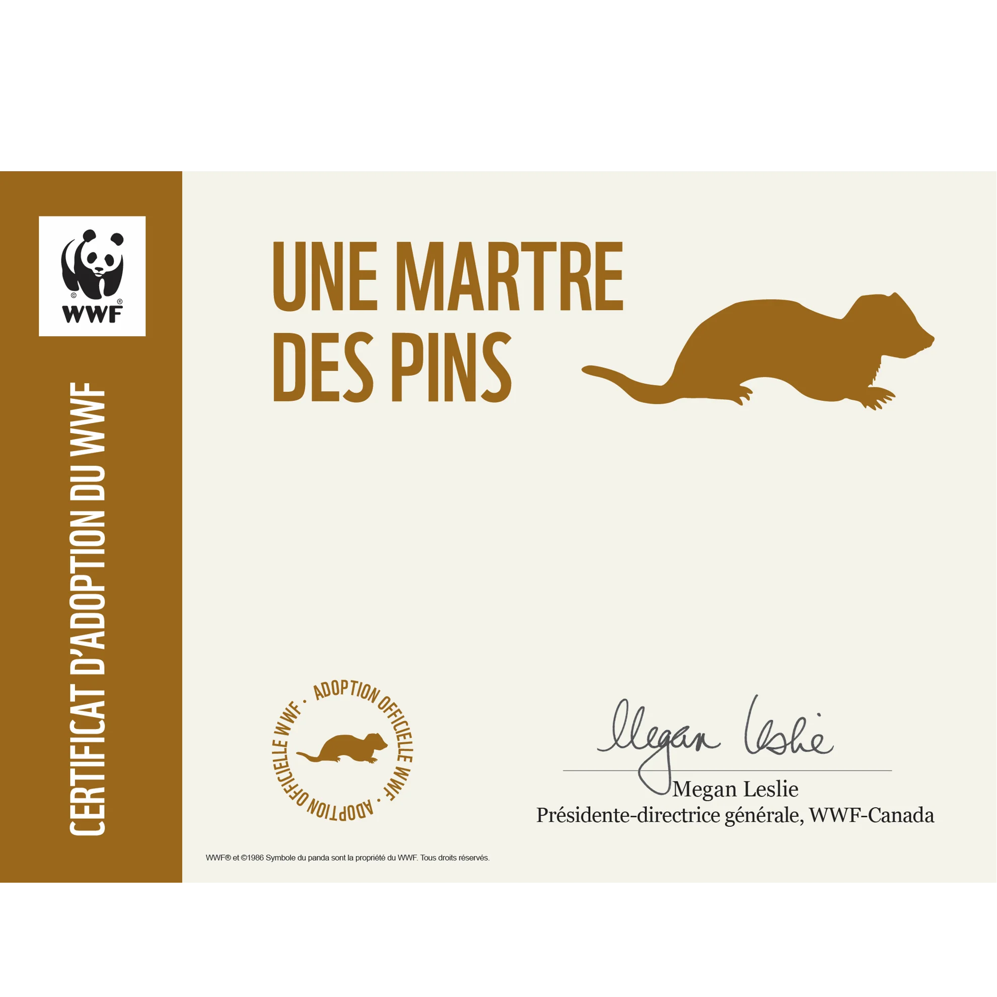 Martre des pins - Image 3