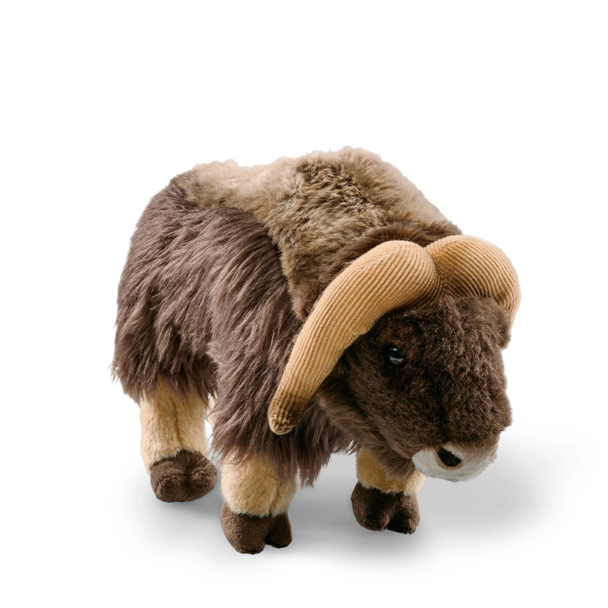 Muskox - Image 2