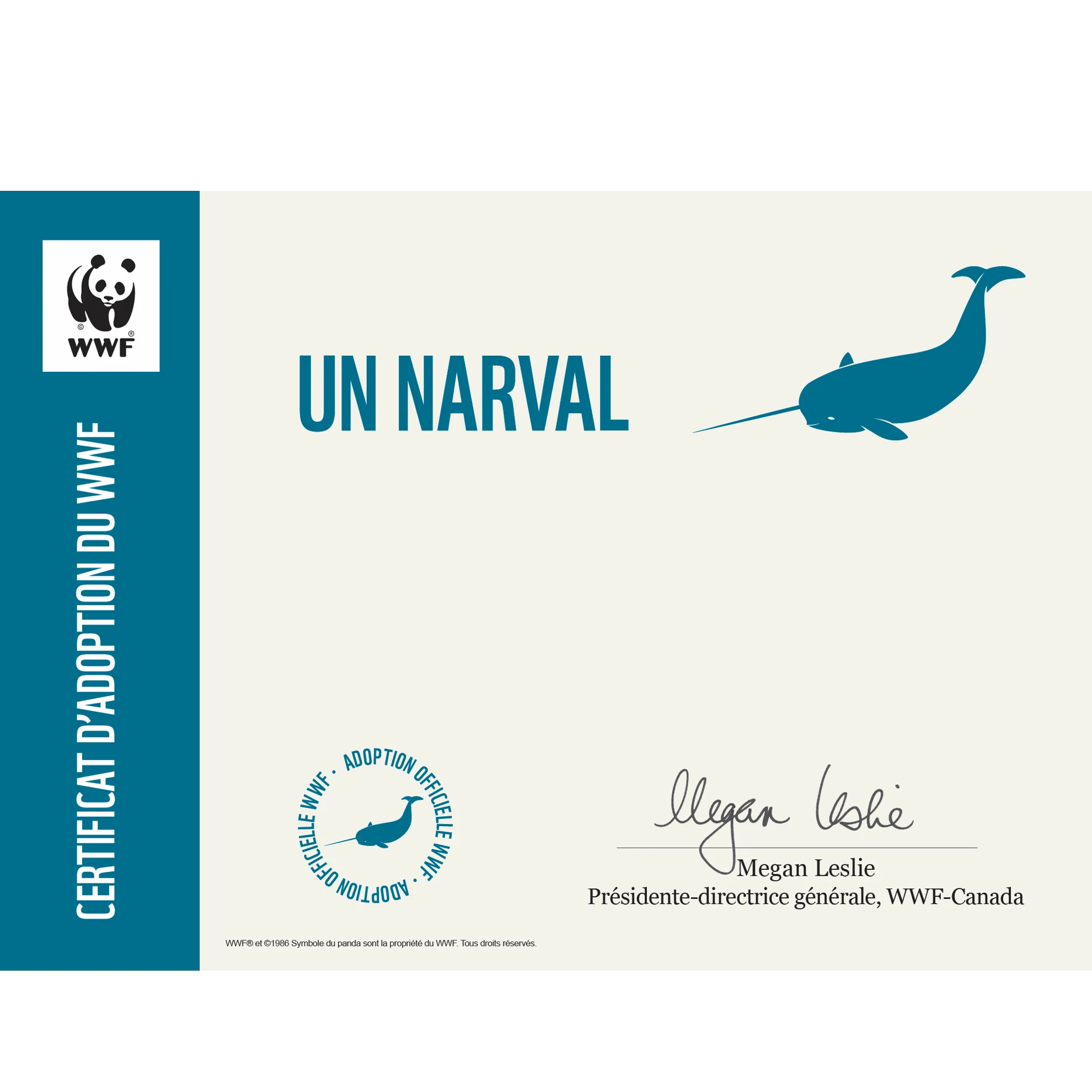 Narval - Image 3