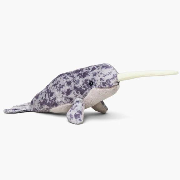 Narwhal - Image 2
