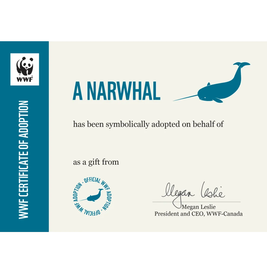 Narwhal digital adoption - Image 2