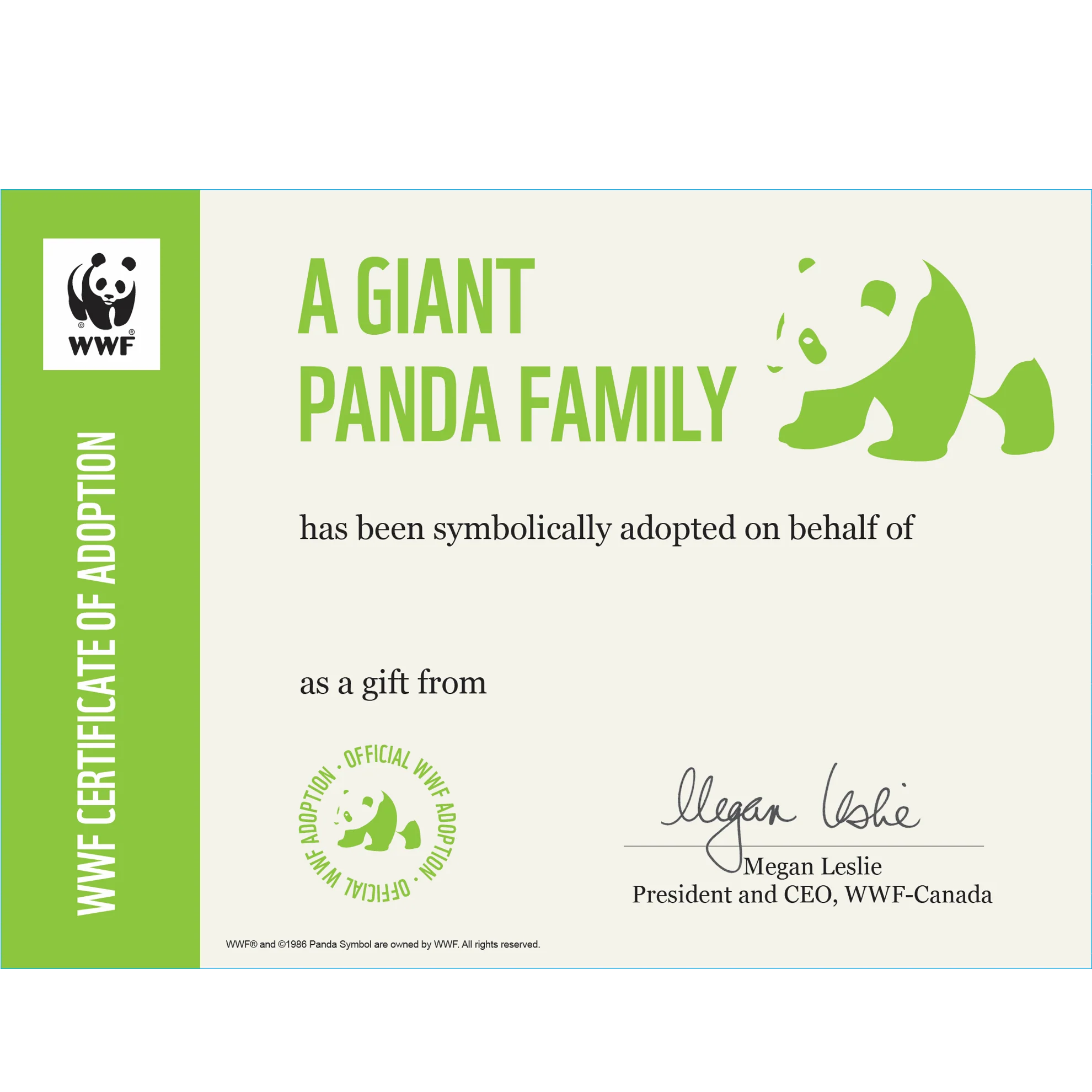 Giant panda family - Image 3