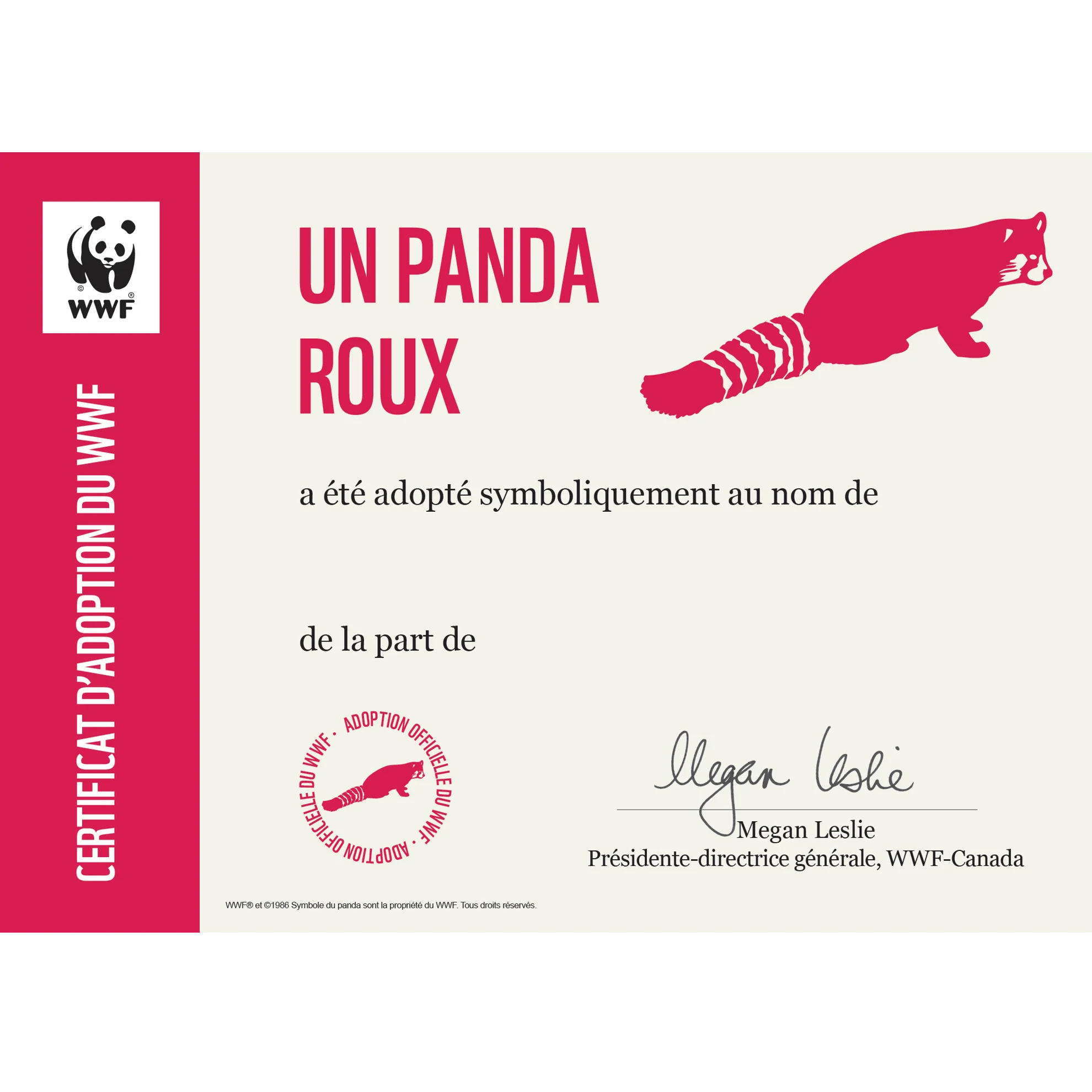 Panda roux - Image 3
