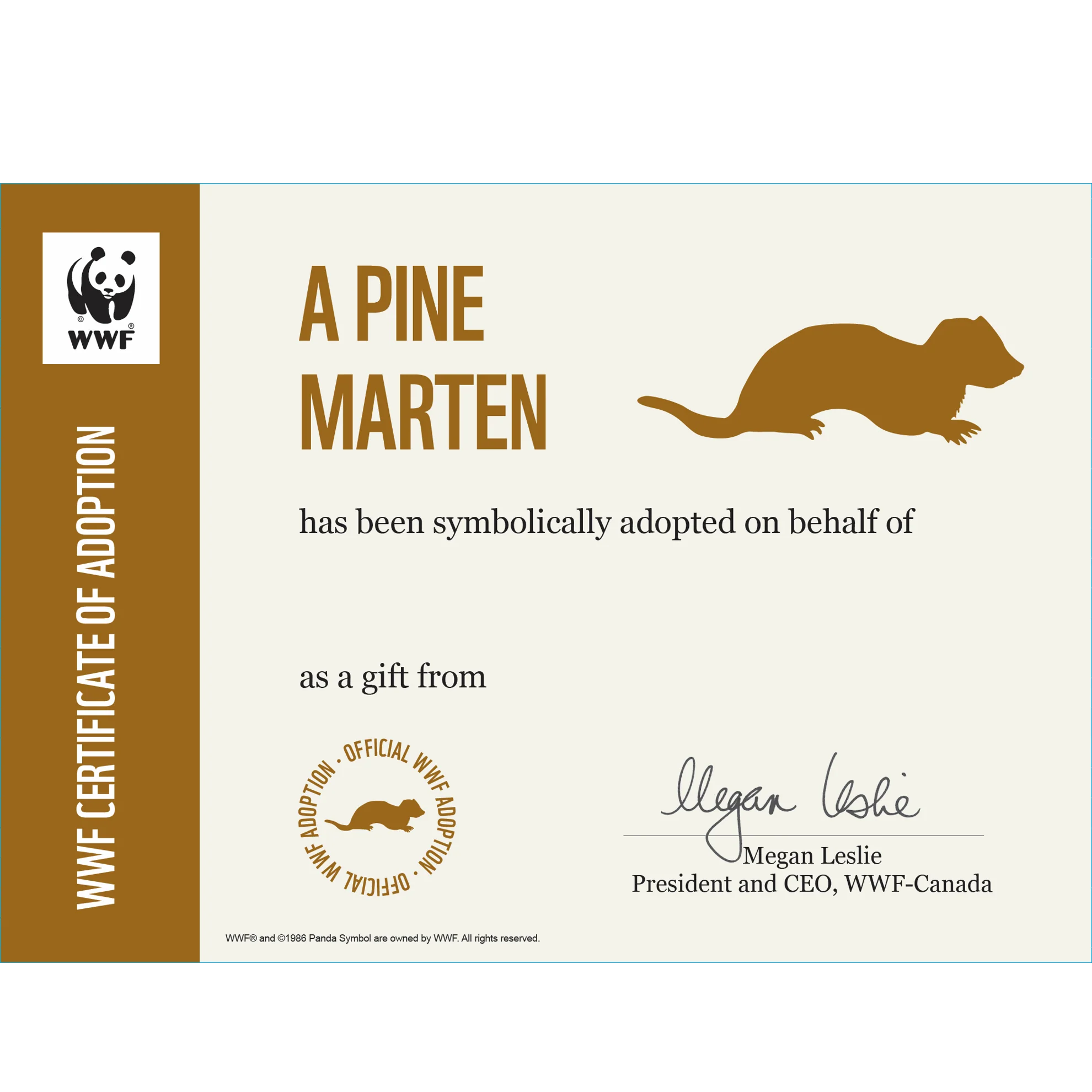 Pine marten adoption card - Image 3