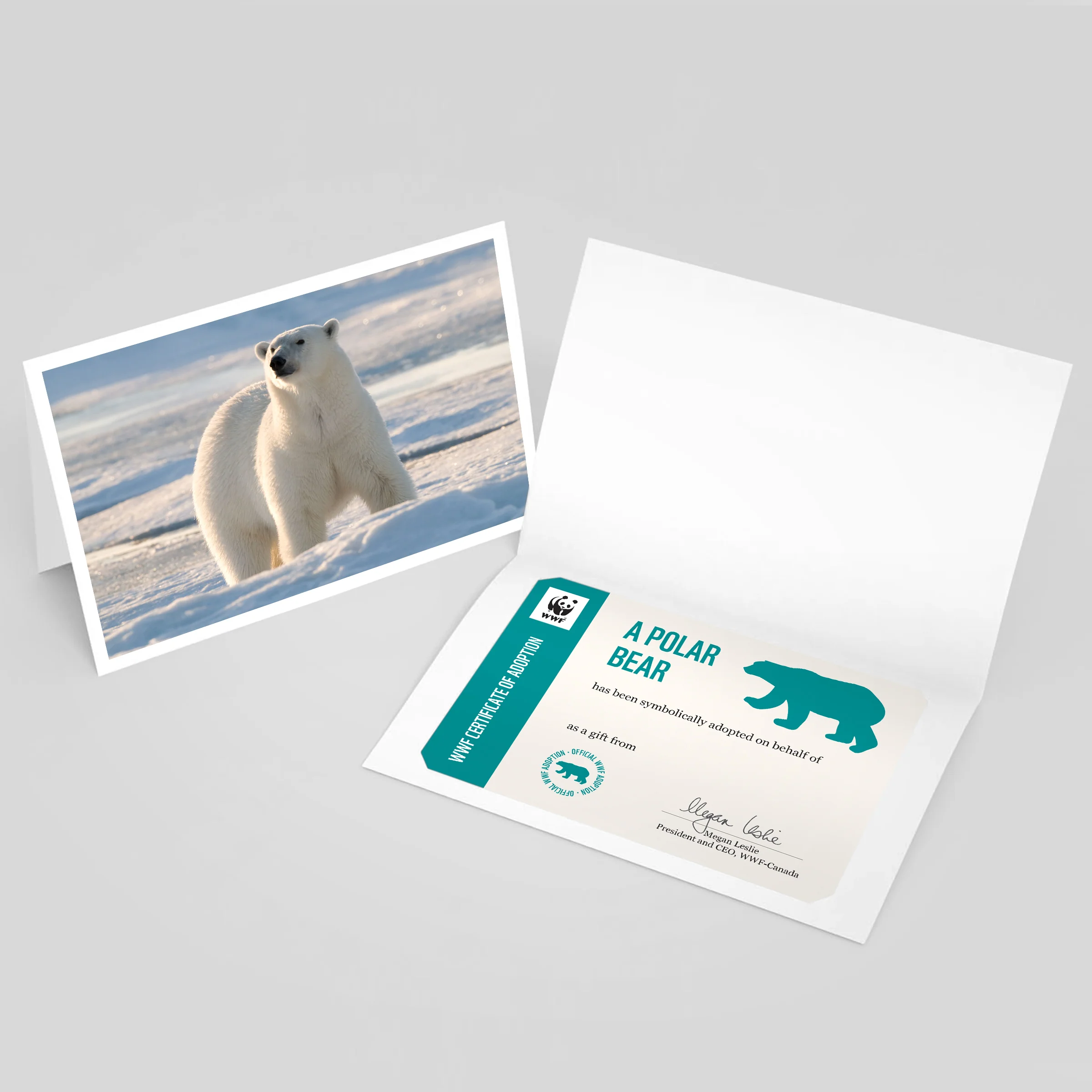 Polar bear adoption card