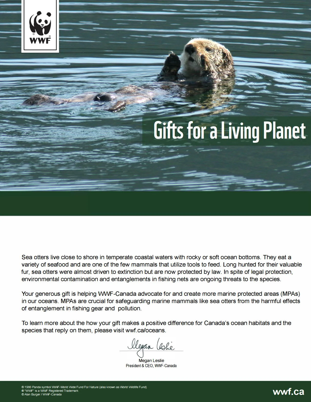 protect the sea otter’s home - Image 2