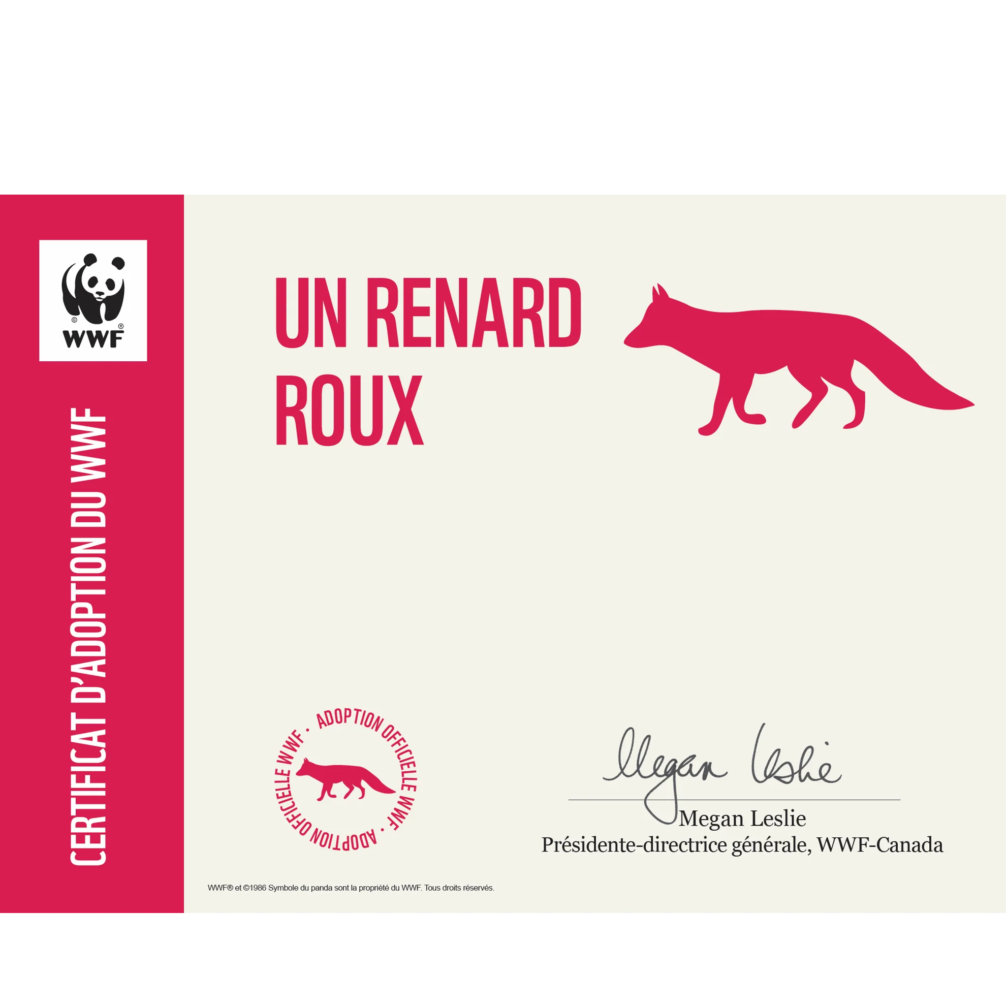 Renard roux - Image 3