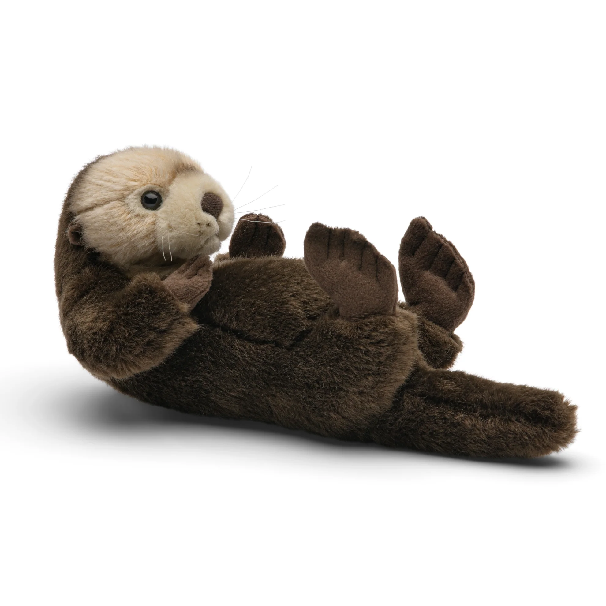 Sea otter - Image 2