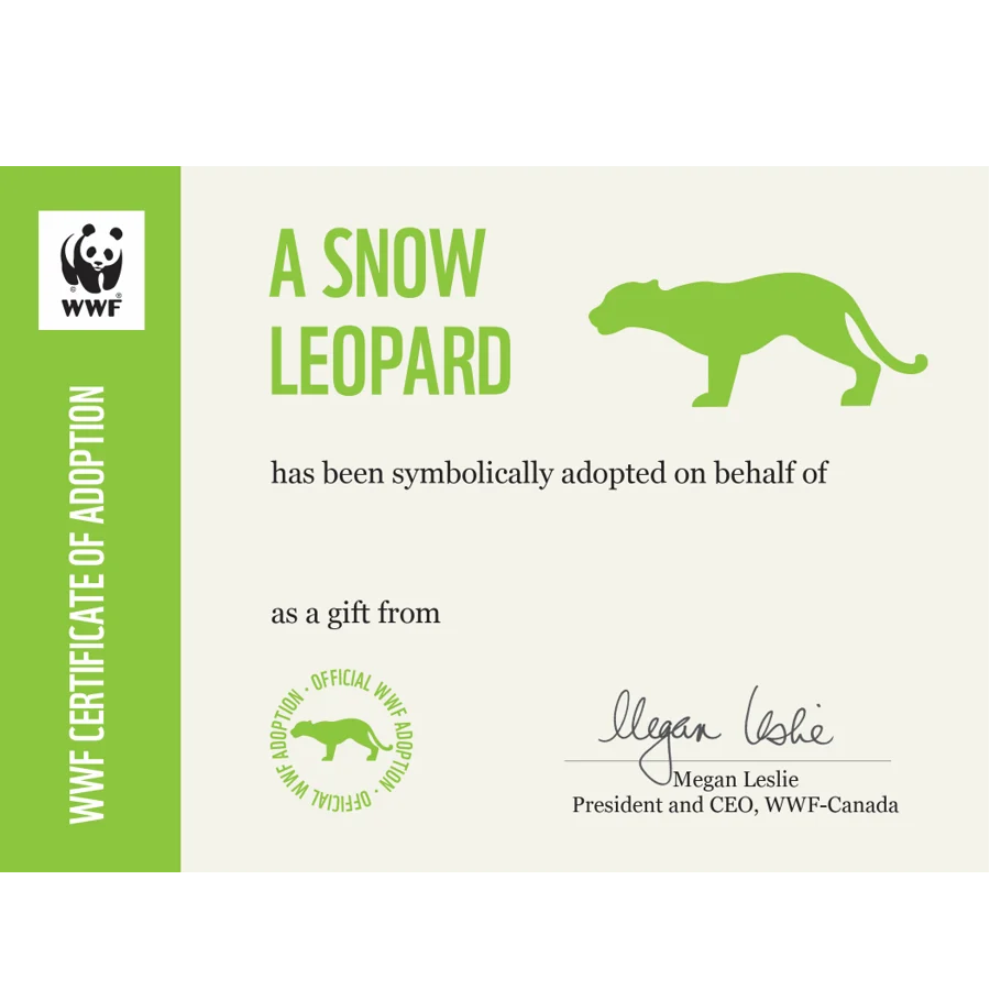 Snow leopard adoption card - Image 3