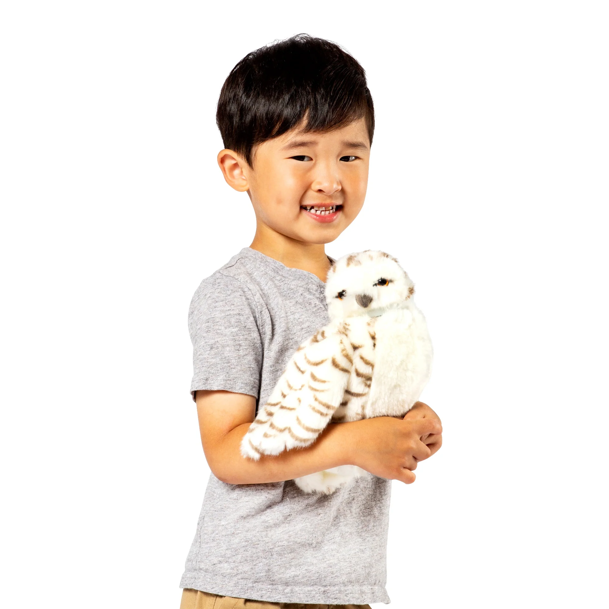 Snowy owl - Image 3
